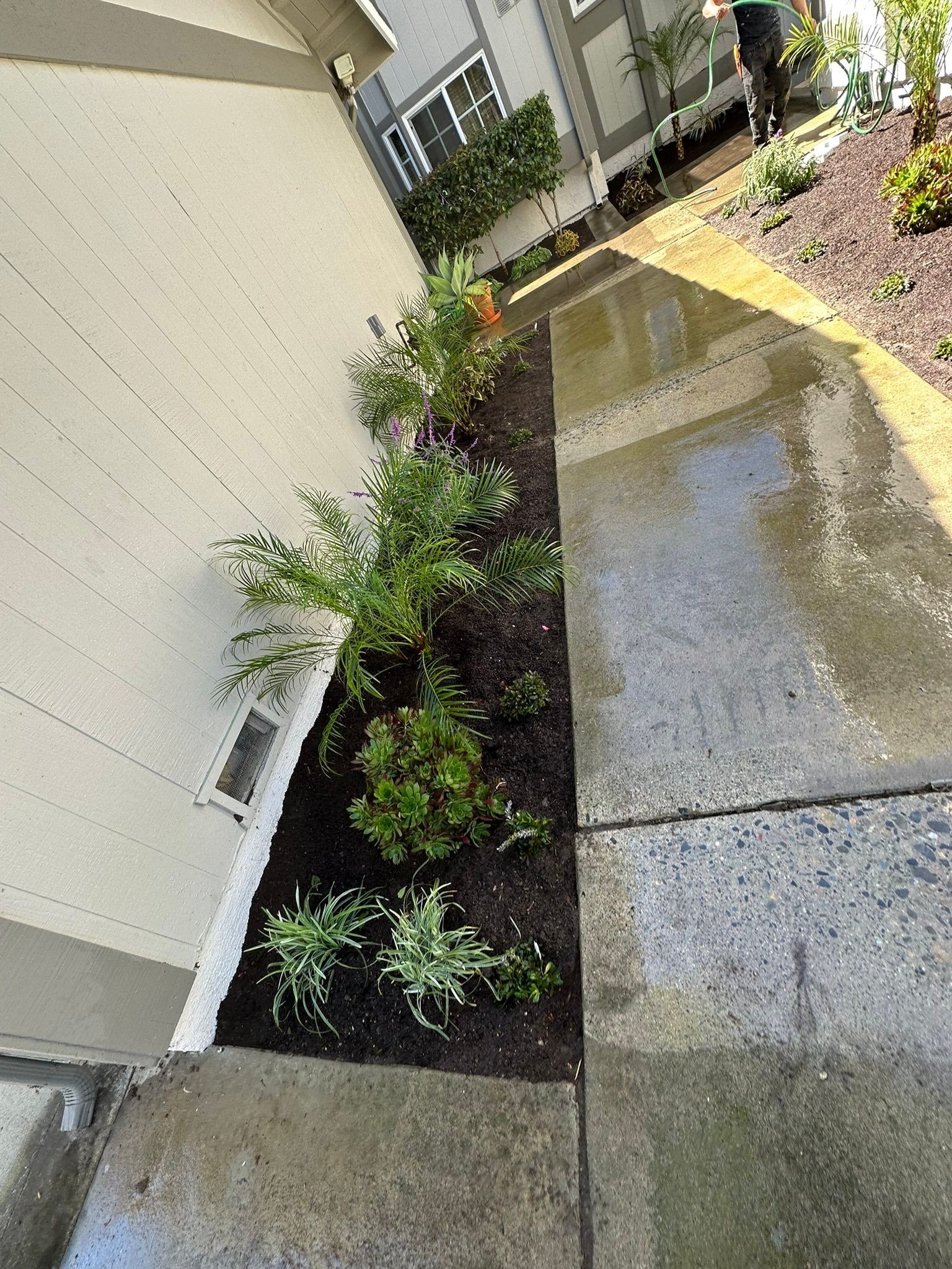  for Benito's Gardening and Tree Service  in San Juan Capistrano, CA