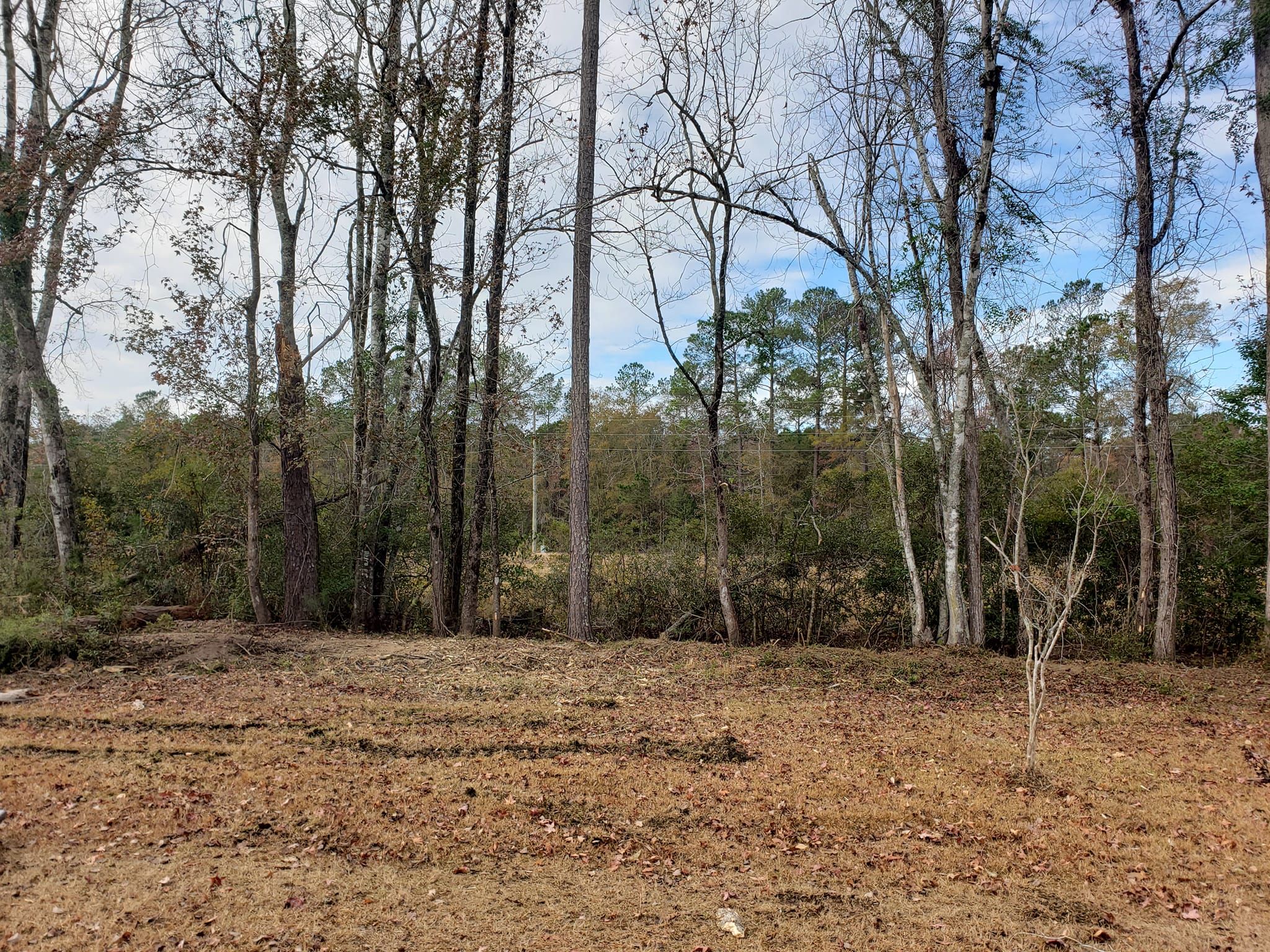 All Photos for TJ Farm and Land Management in Loris, SC