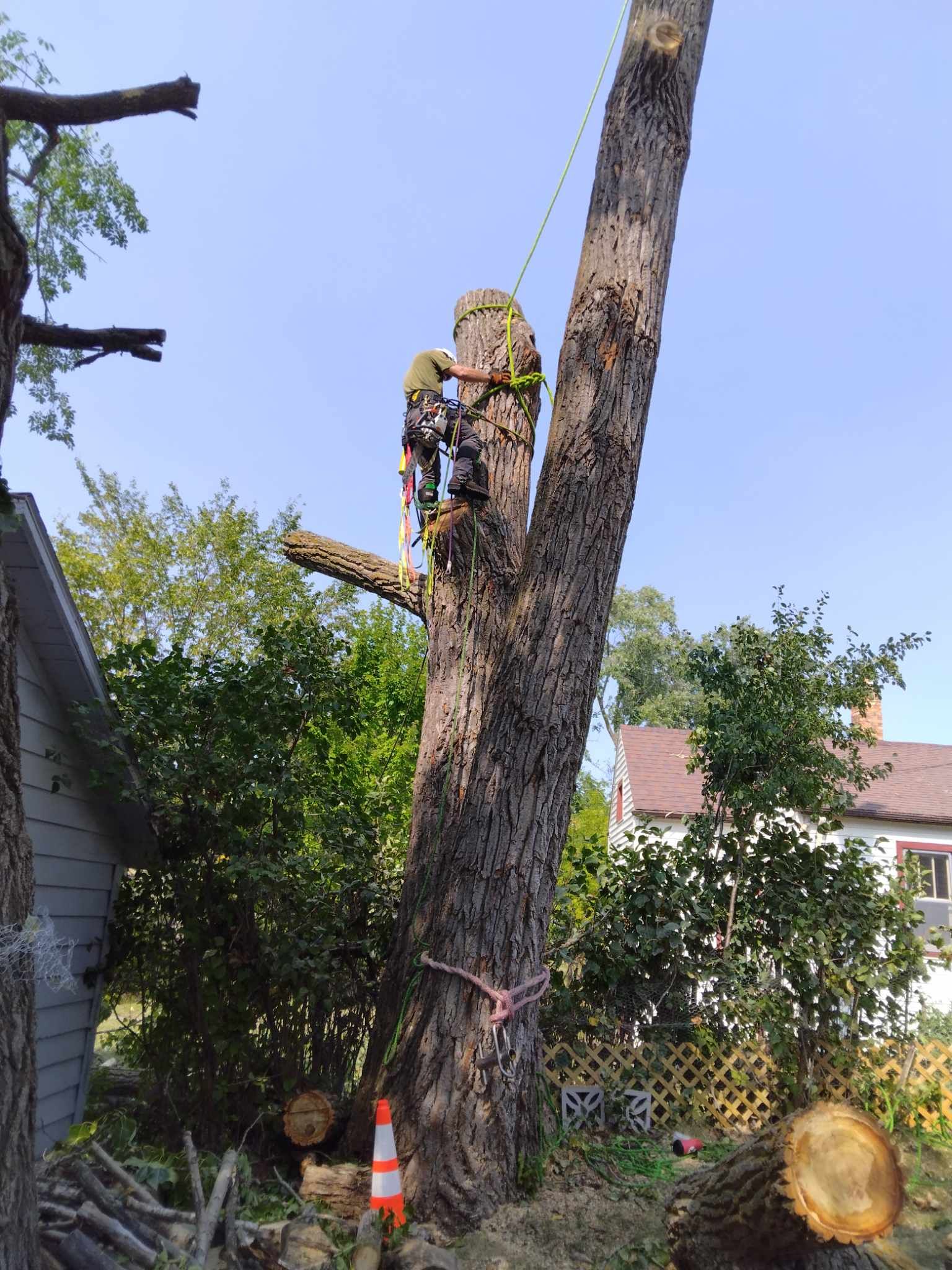  for Dan's Tree Service LLC in Bemidji, MN