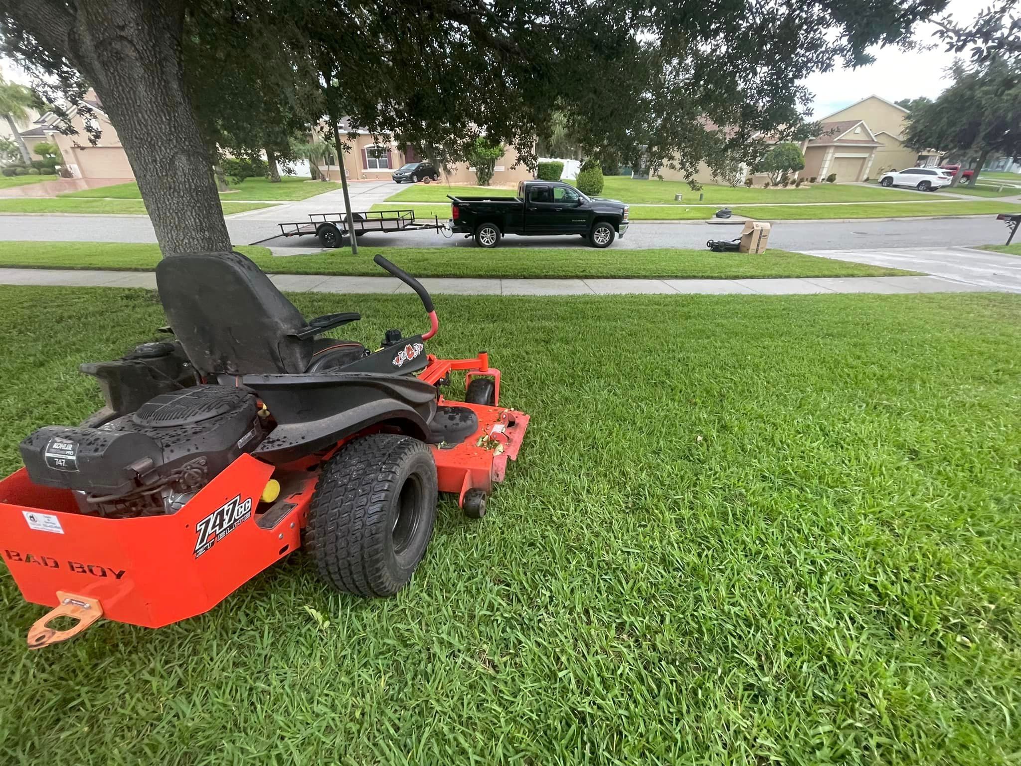 Lawn Care for Dandelion Landscaping in Clermont, FL