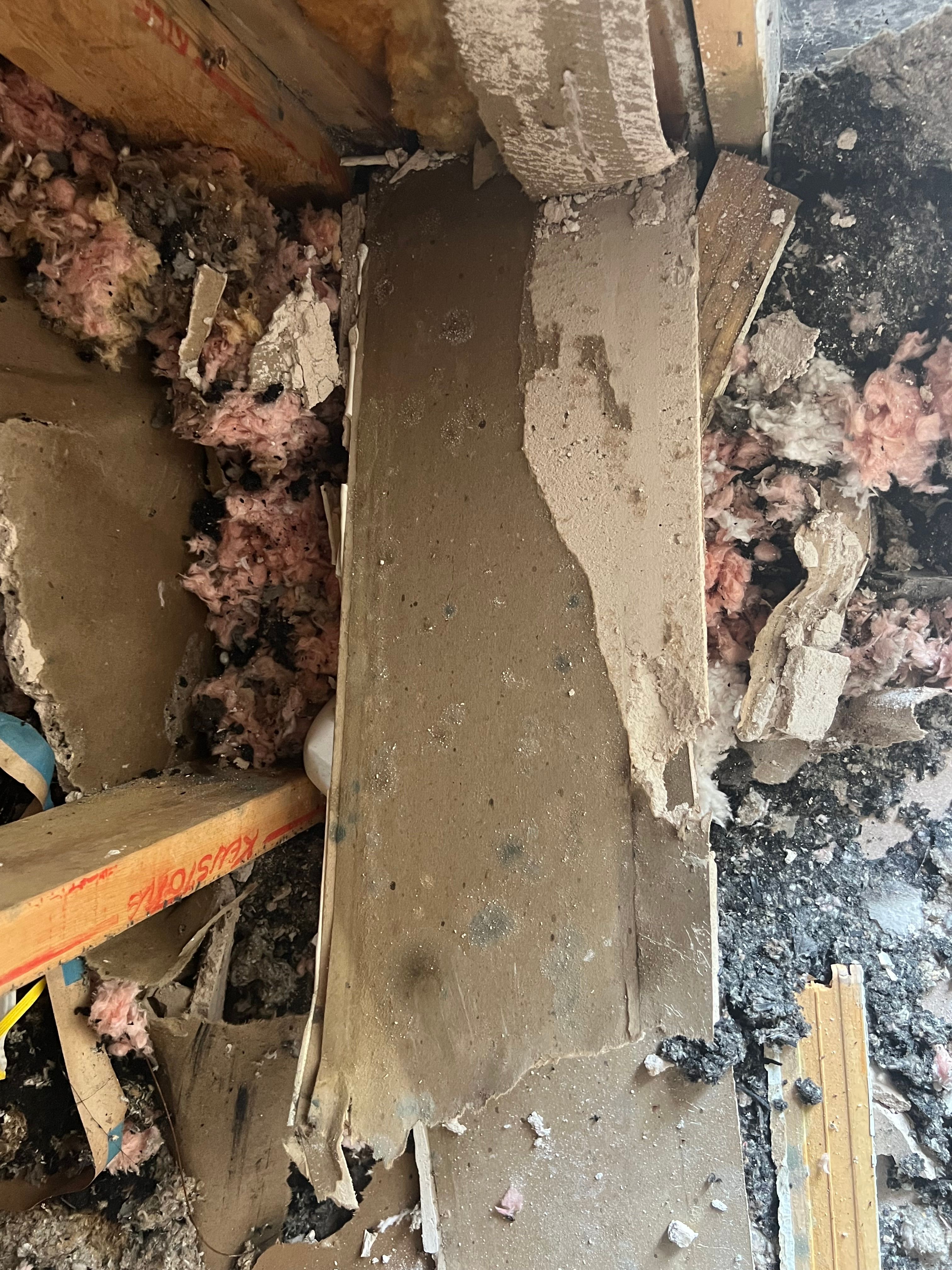  for N&D Restoration Services When Disaster Strikes, We Come In in Cape Coral,  FL