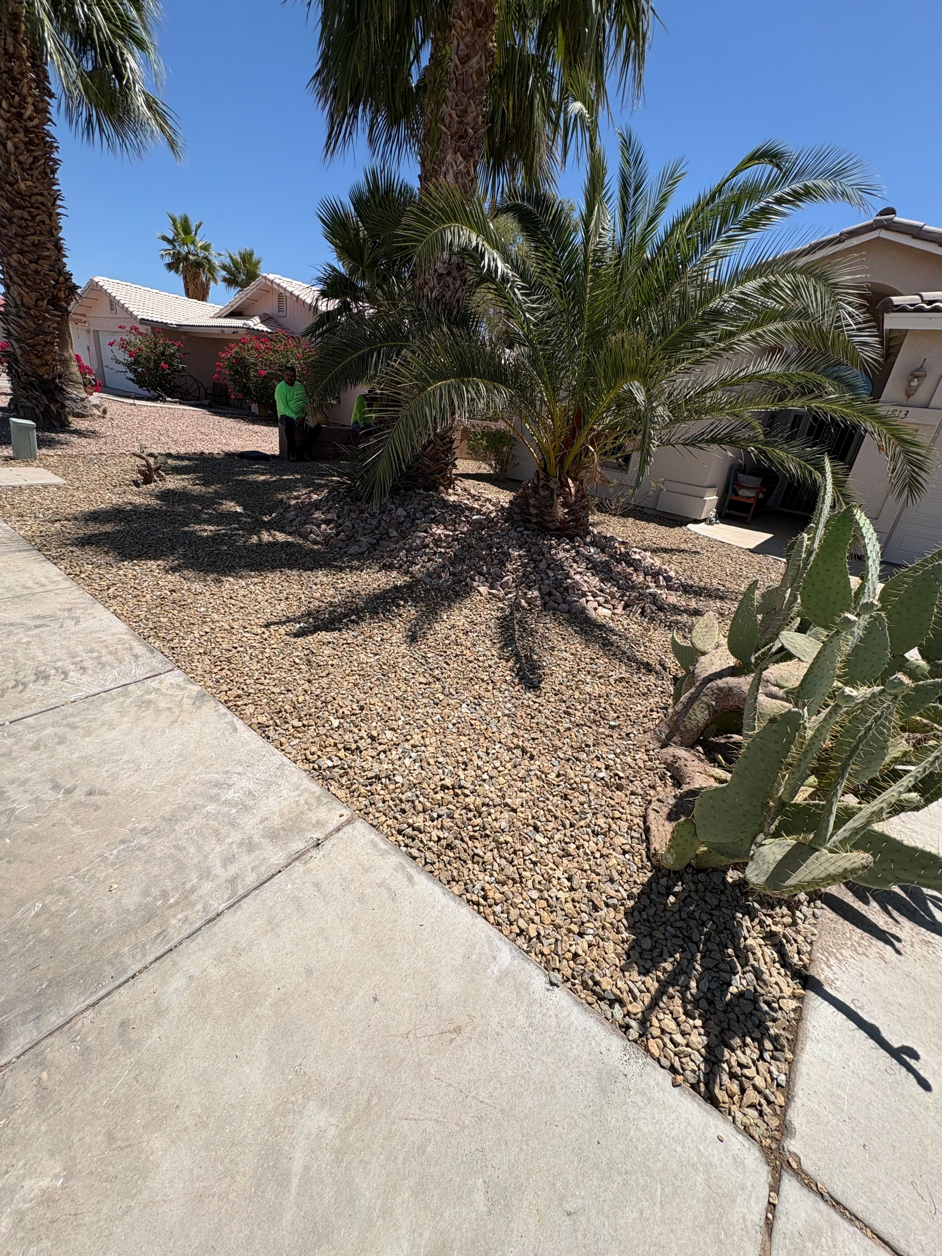  for Top Notch Landscape Services LLC in Mohave Valley, AZ