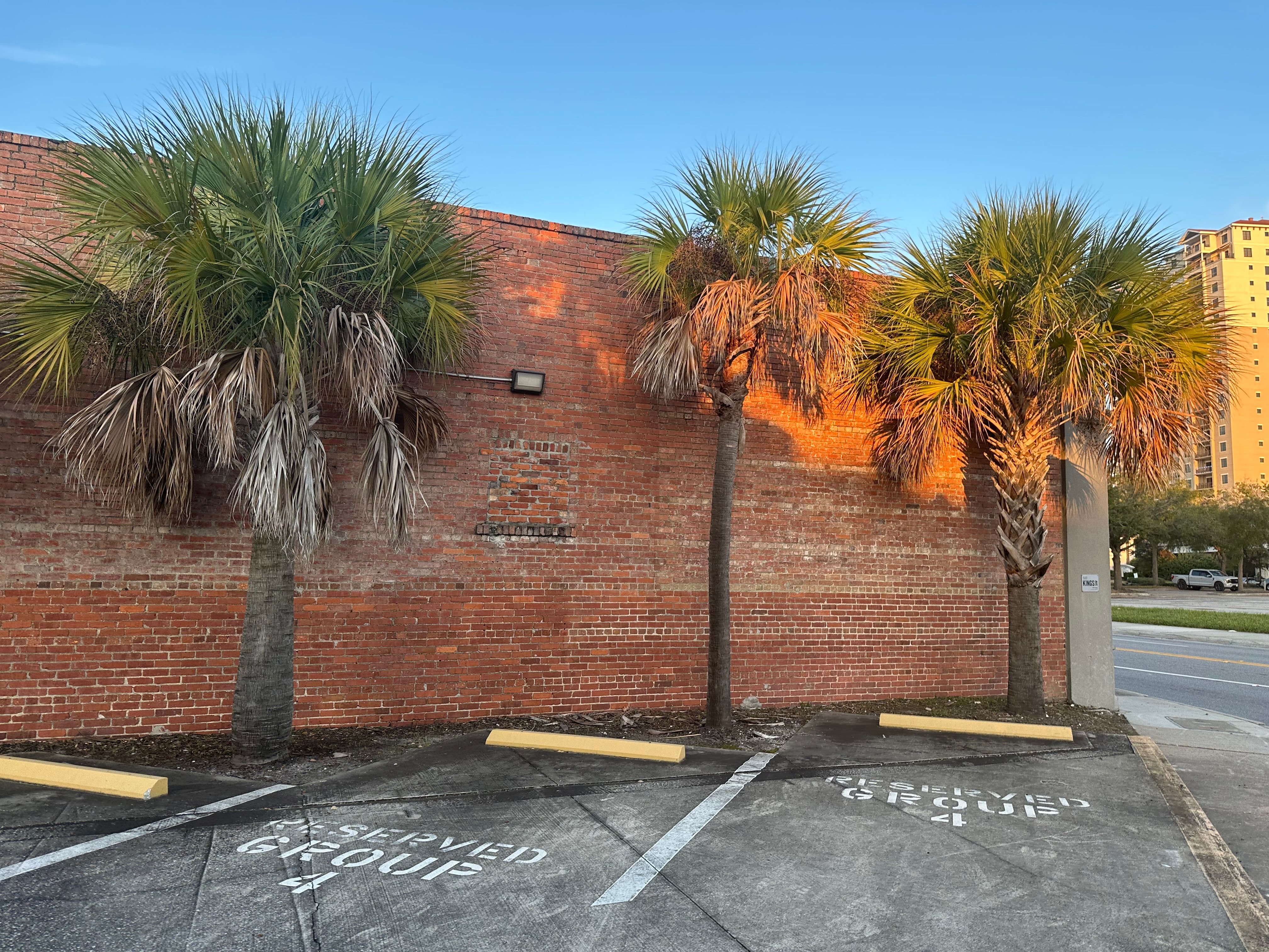 All Photos for All of the Above Landscaping in Orange Park, FL