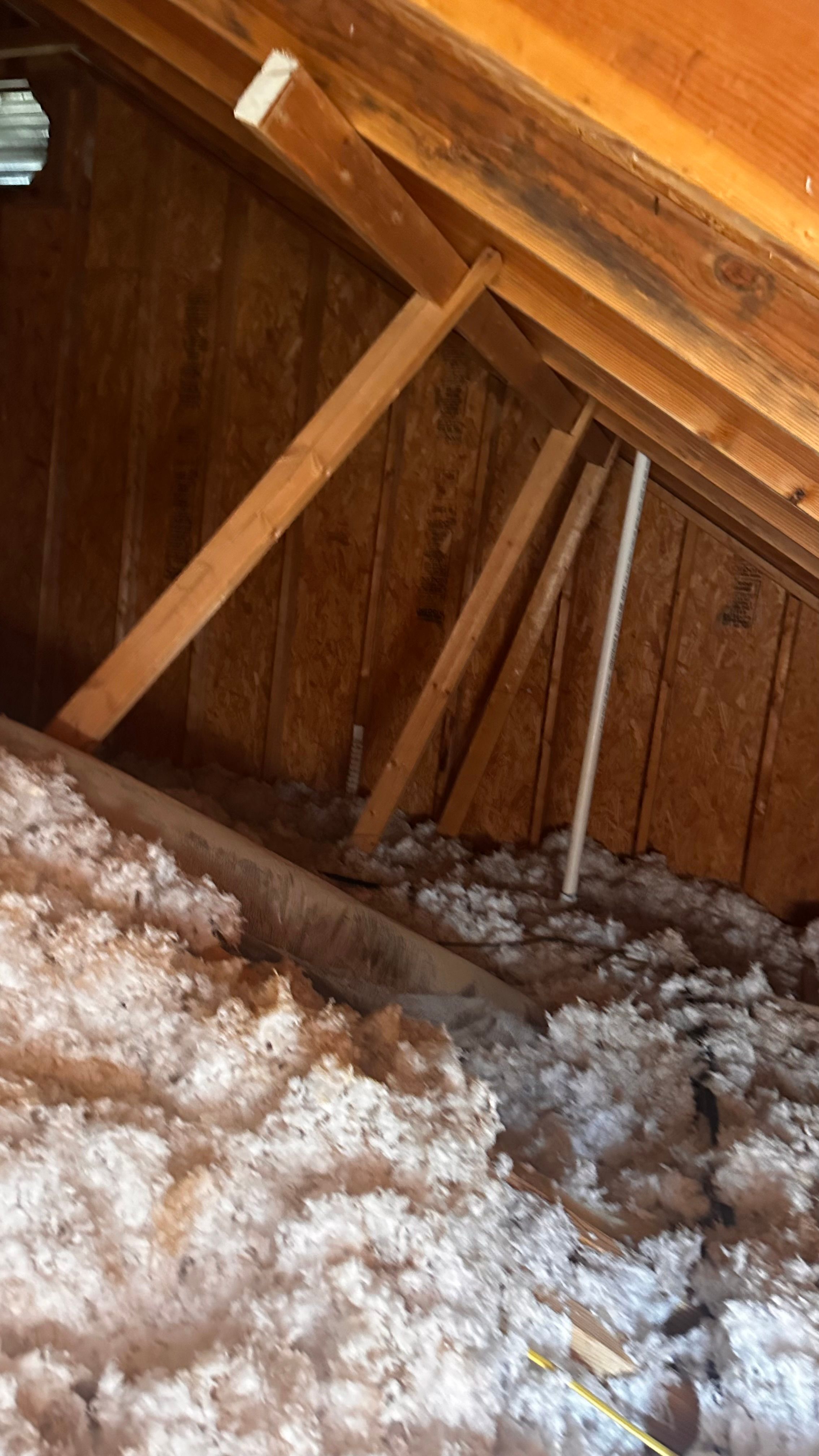  for Piney Woods Renovations in Tyler , TX