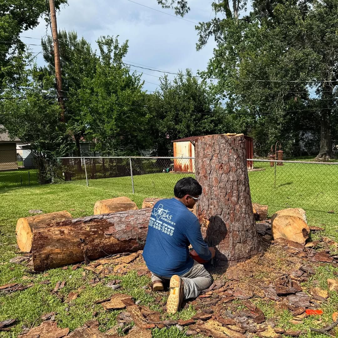  for Texas Elite Arborist in Houston, TX