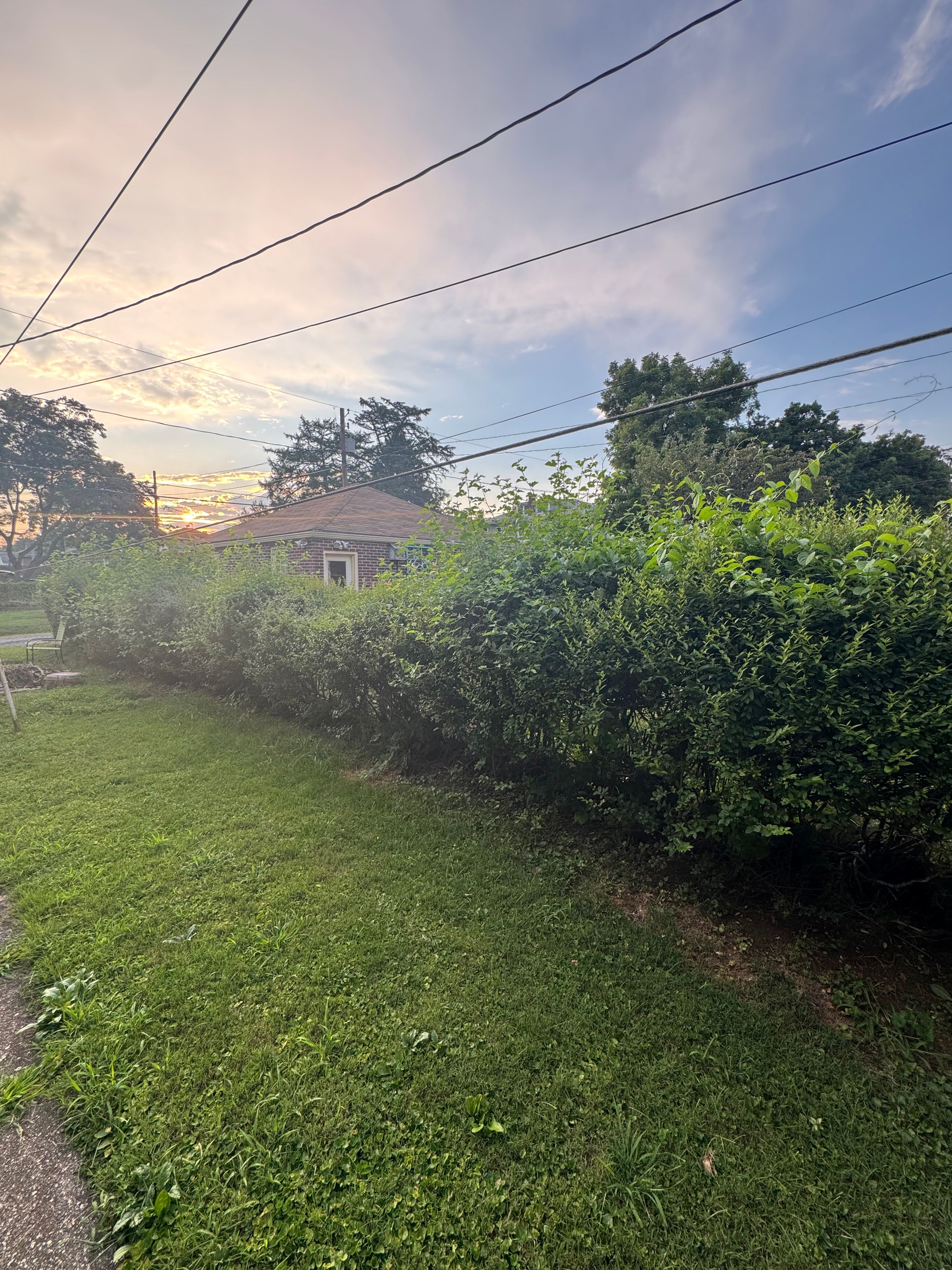  for Landscape & Lawn Care Pros in Allentown, PA
