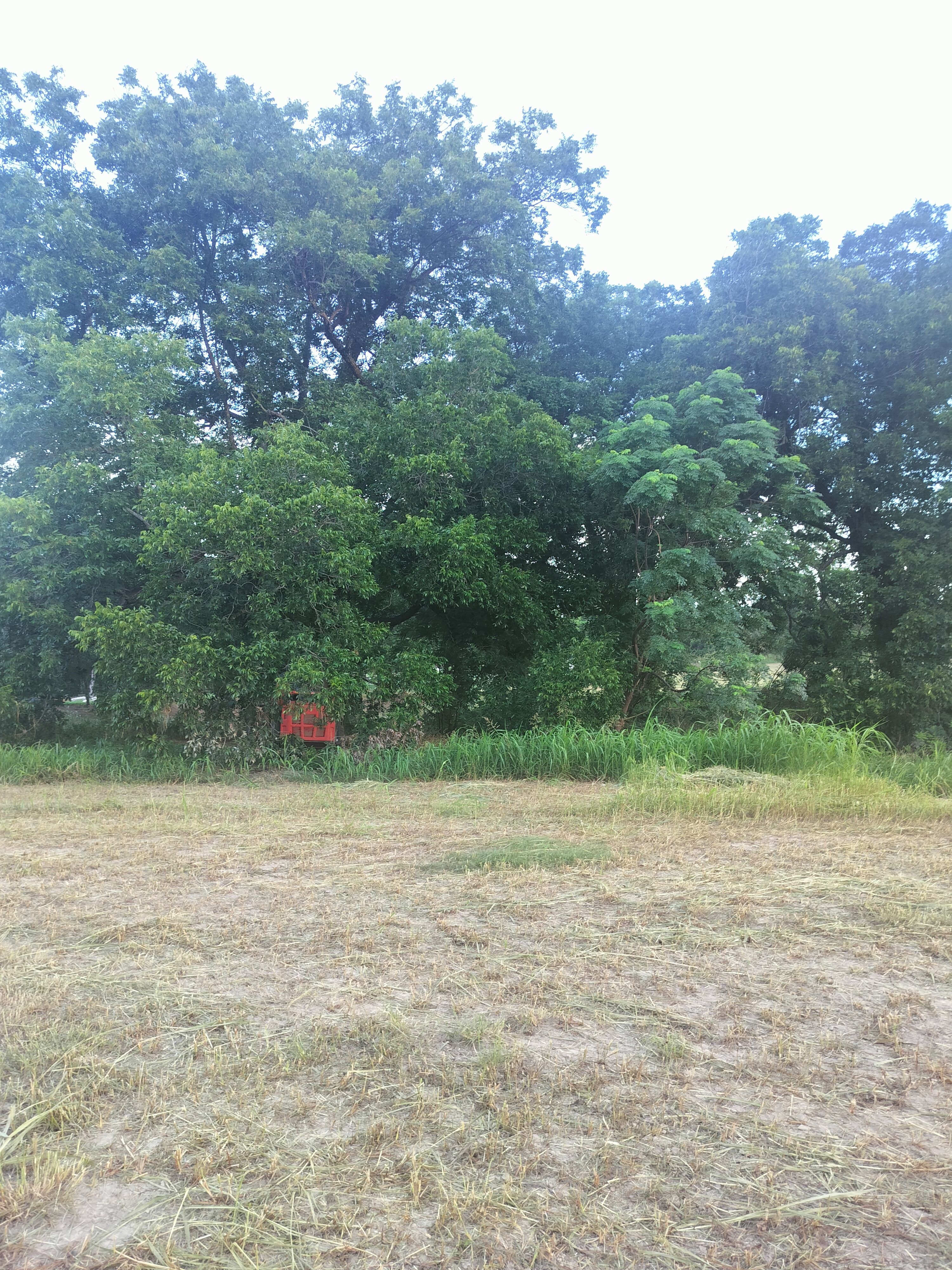  for 512 Land Clearing in Blanco County, TX