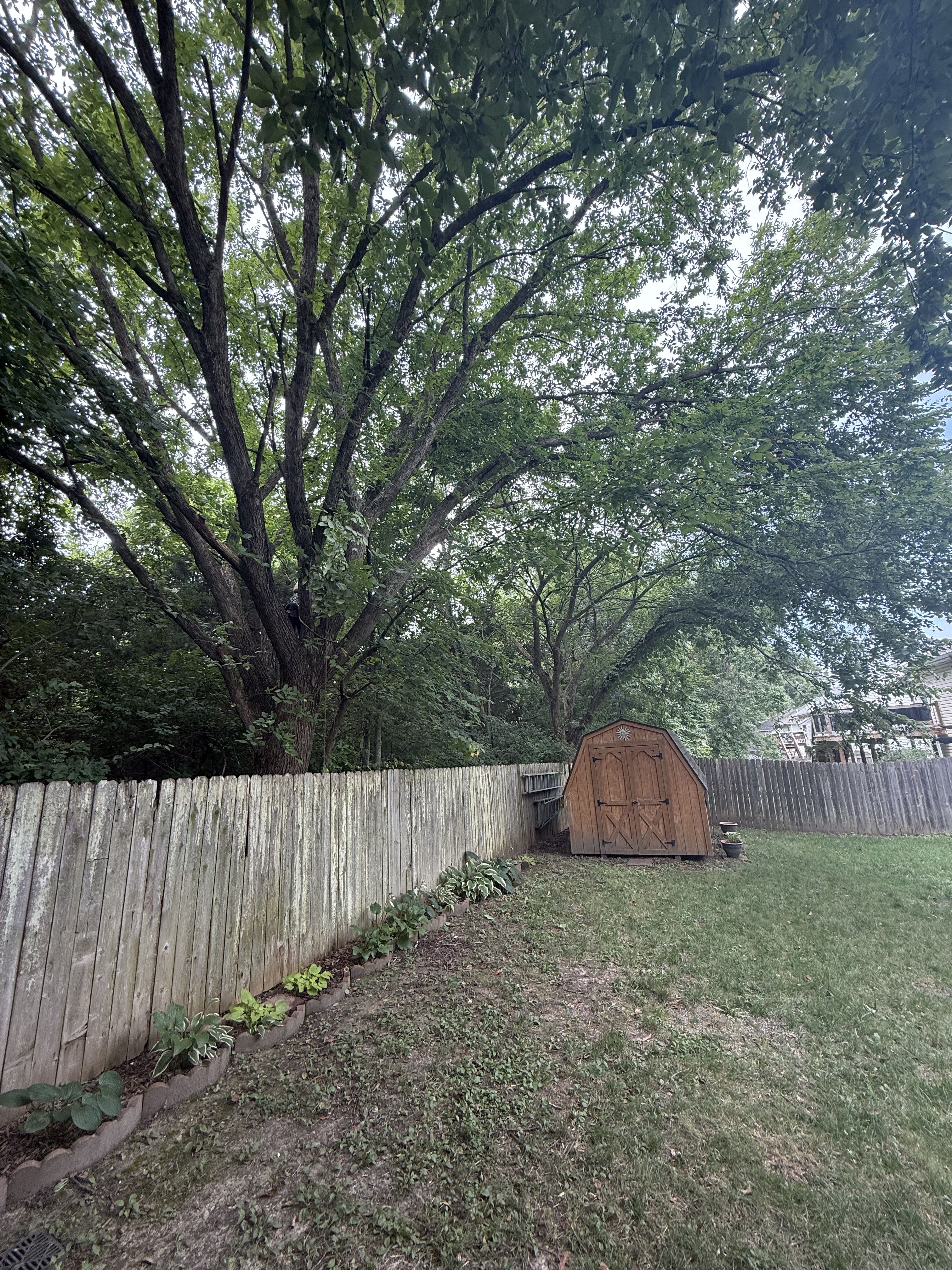  for Sky High Tree Service in Columbia, MO