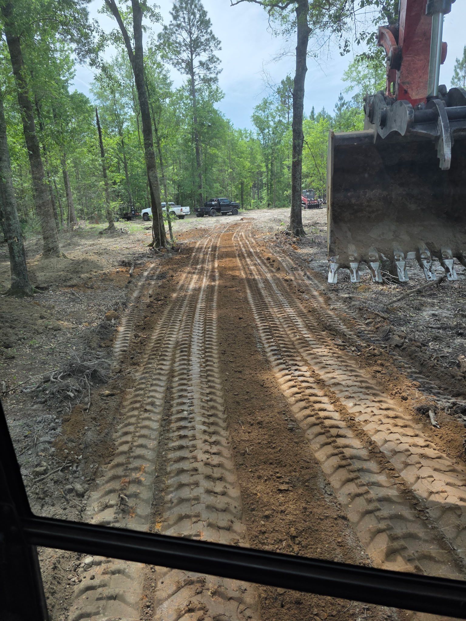 Tree Removal for Page Outdoor Services in Wrightsville, GA