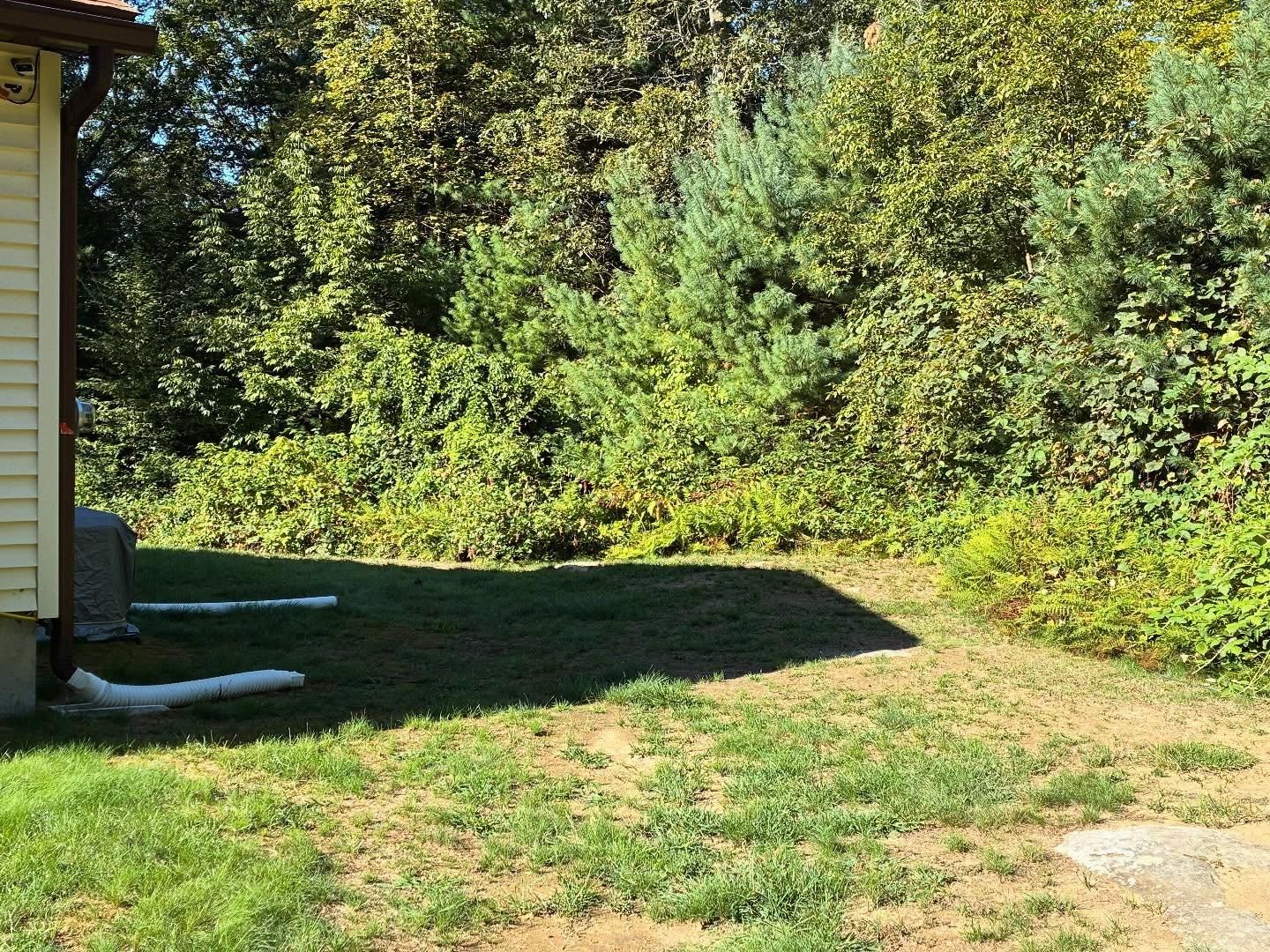All Photos for Triple C’s Excavation in Ashford, CT