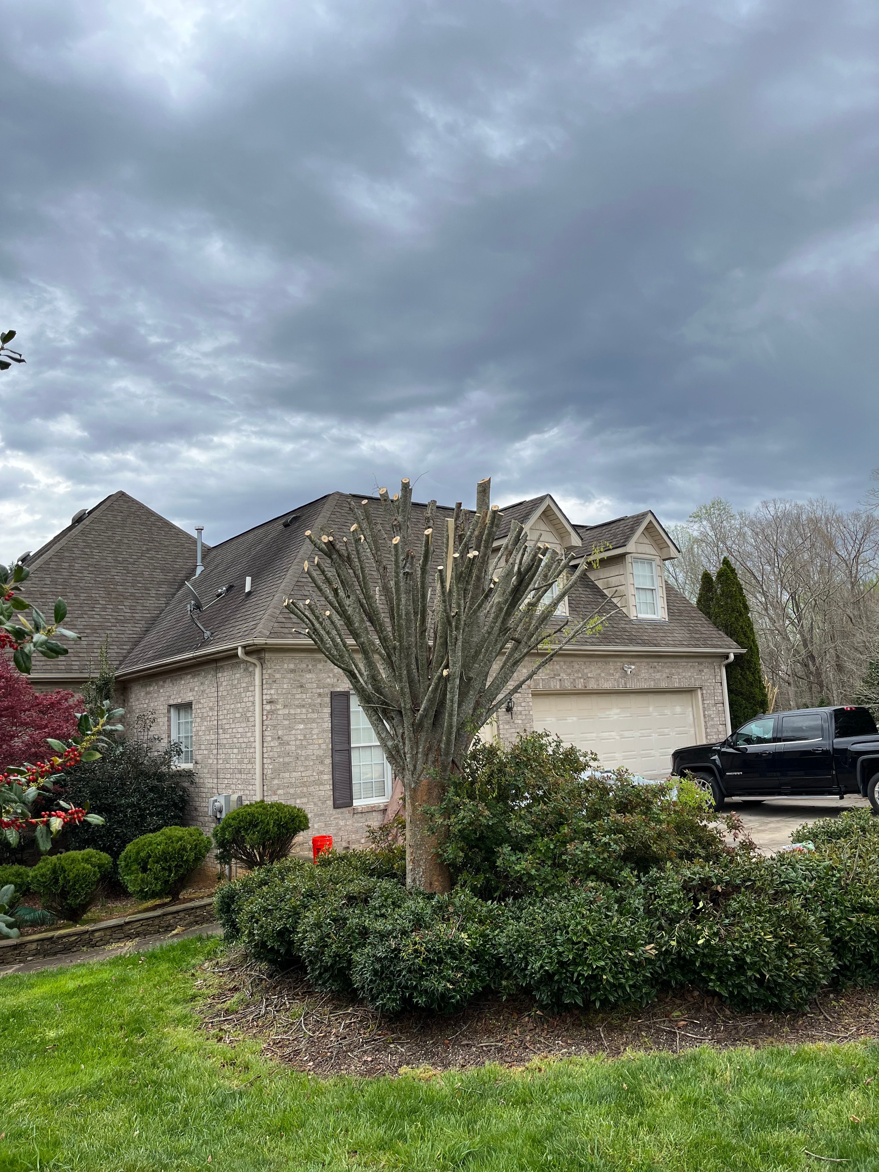  for Sage Green Lawn Care in Greensboro,  NC