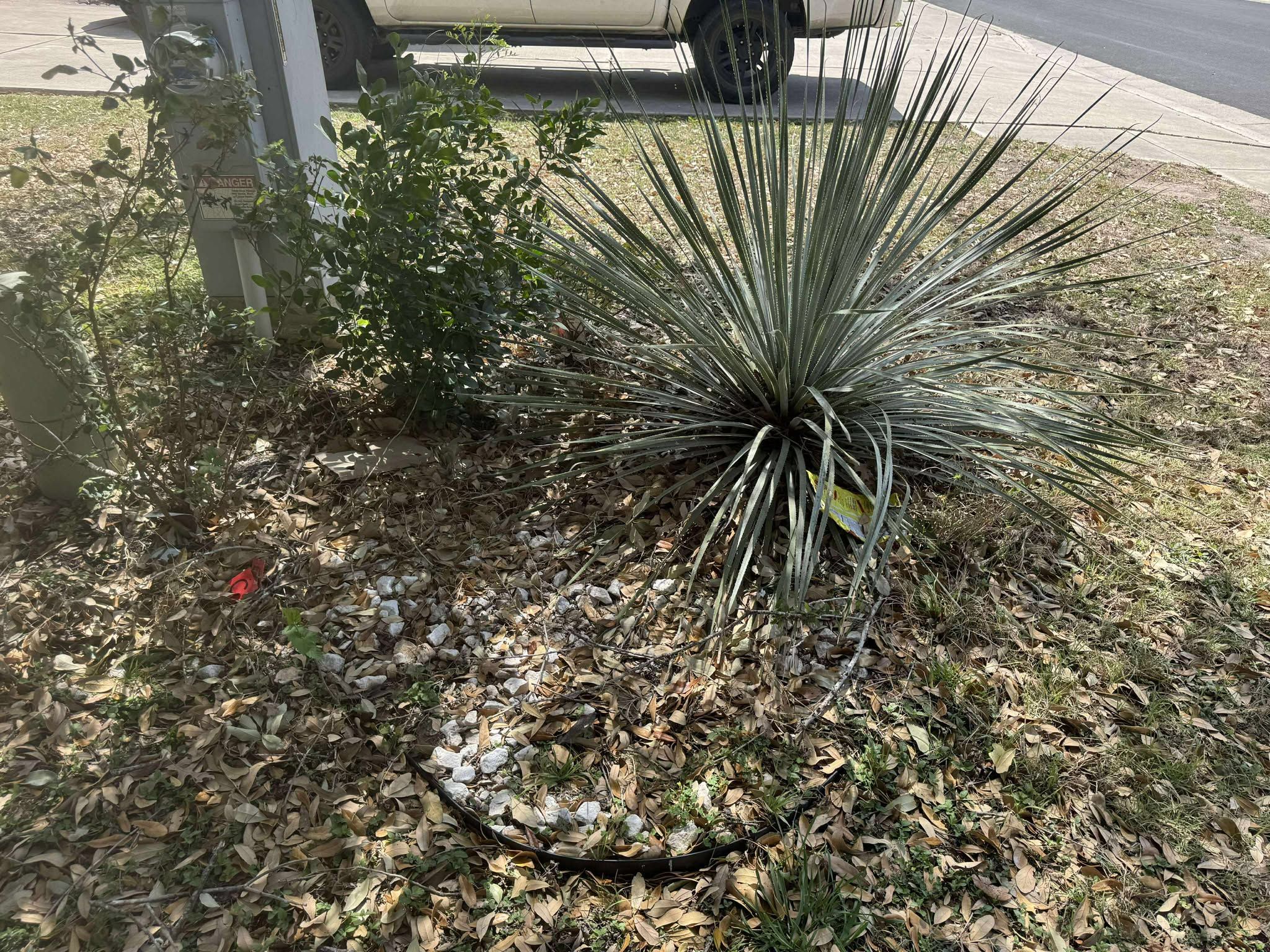 All Photos for Fresh Yards Landscaping in Austin, Texas
