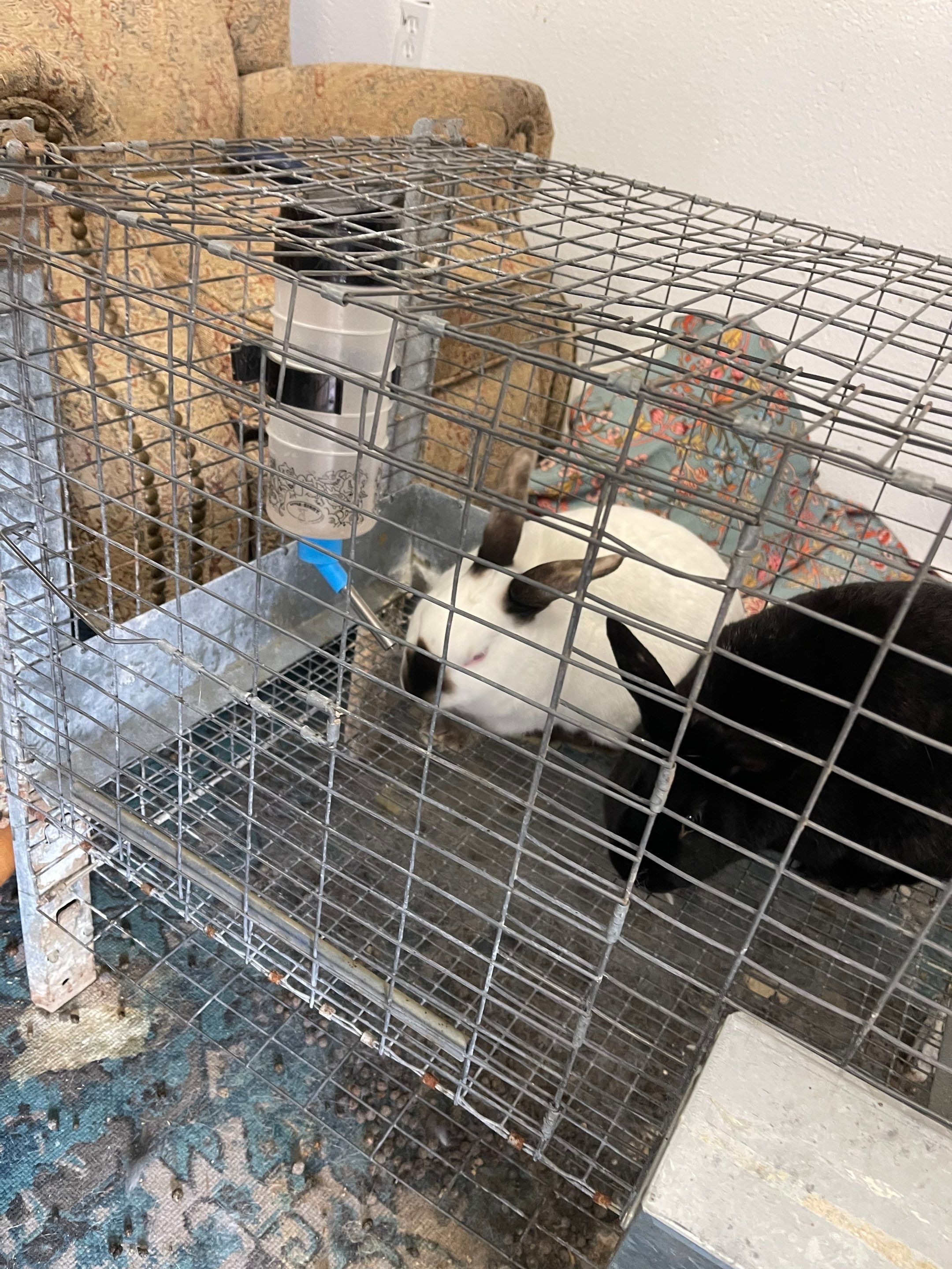 All Photos for Mr. Pipe Dreams LLC in Colorado Springs, CO