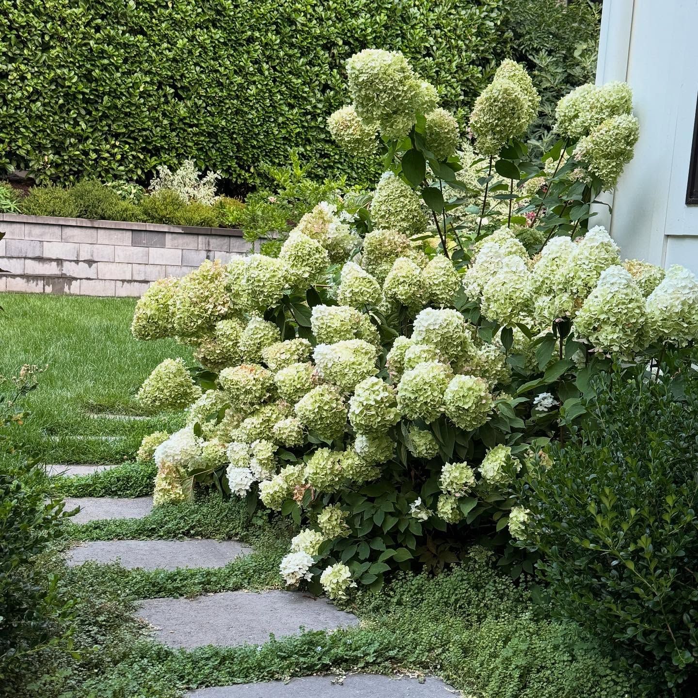  for Courtney Lewis Landscape Design in Portland, OR