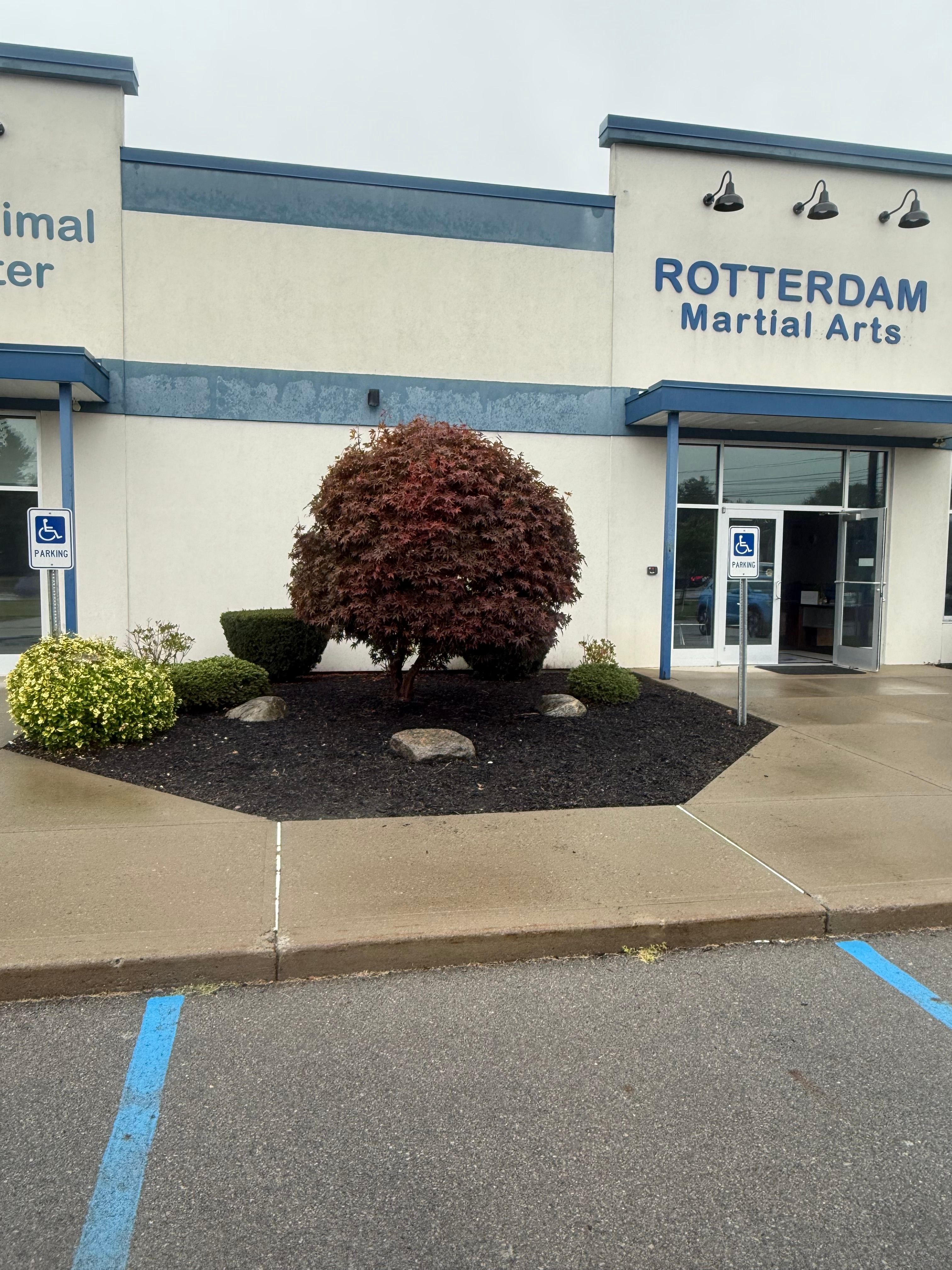  for  DeLorenzo Landscaping in Schenectady, NY