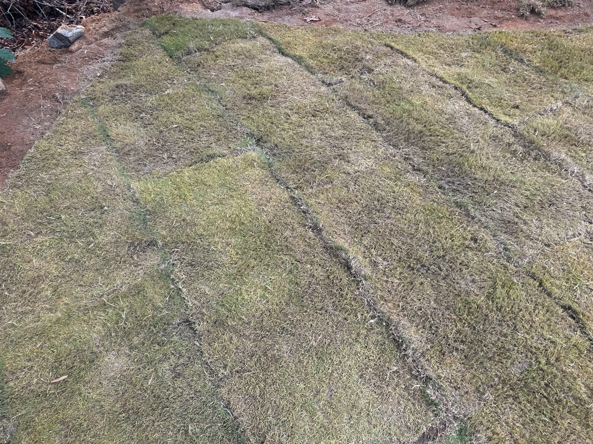  for Rescue Grading & Landscaping in Marietta, SC