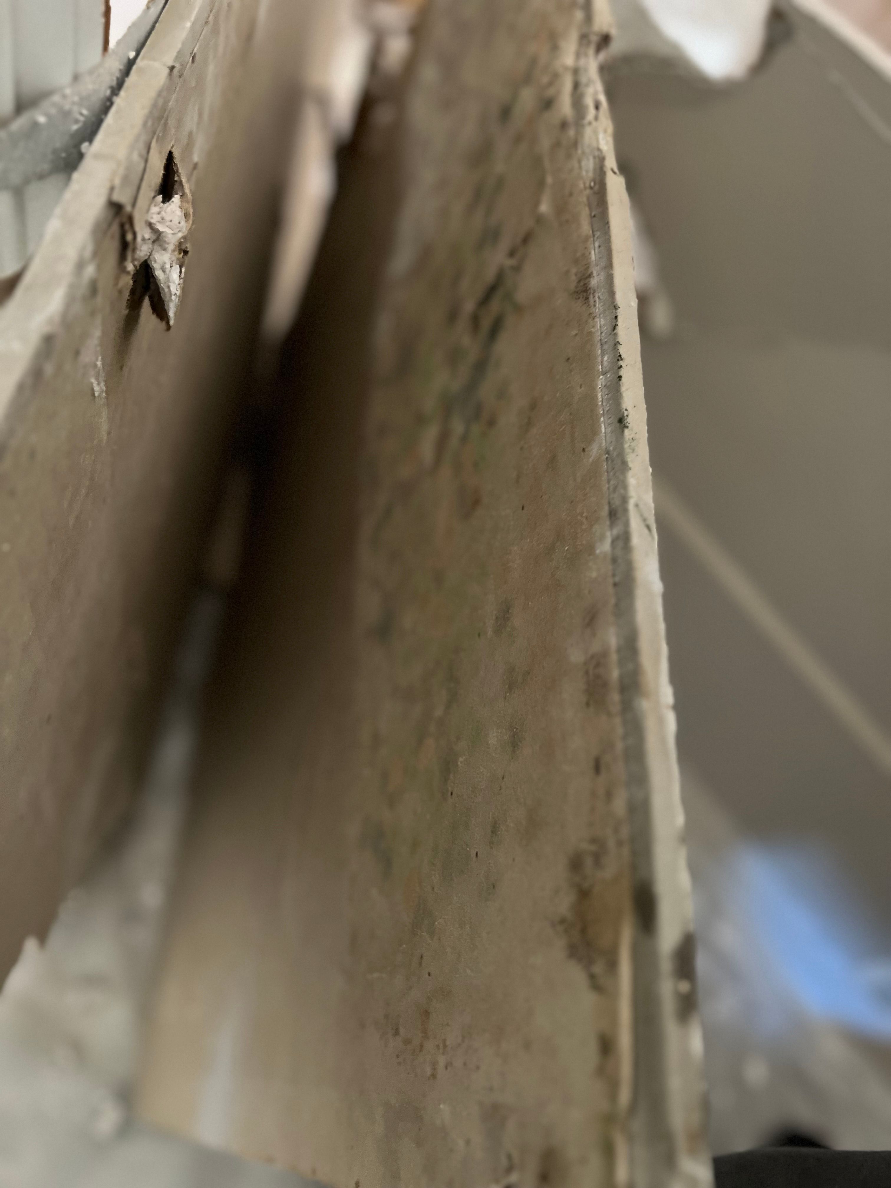  for N&D Restoration Services When Disaster Strikes, We Come In in Cape Coral,  FL