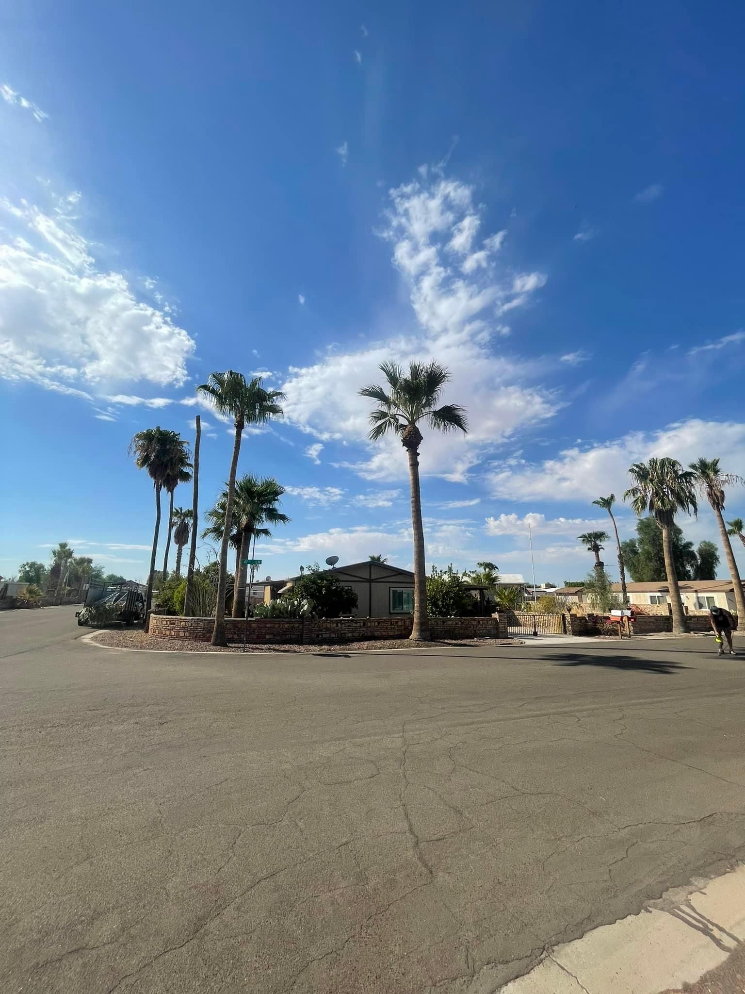  for Oliver L. Palm & Tree services in Yuma County, AZ