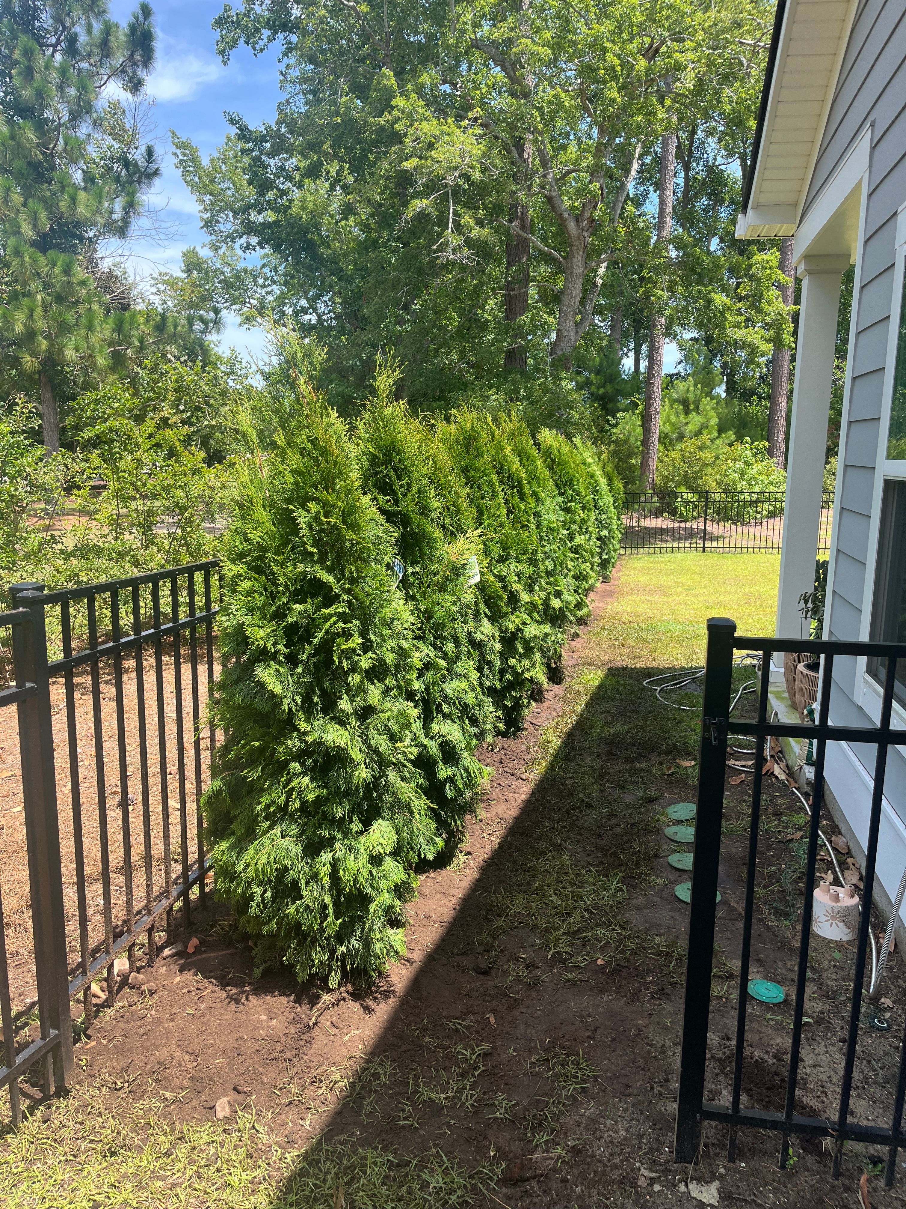  for New Creation Landscaping in Myrtle Beach, SC