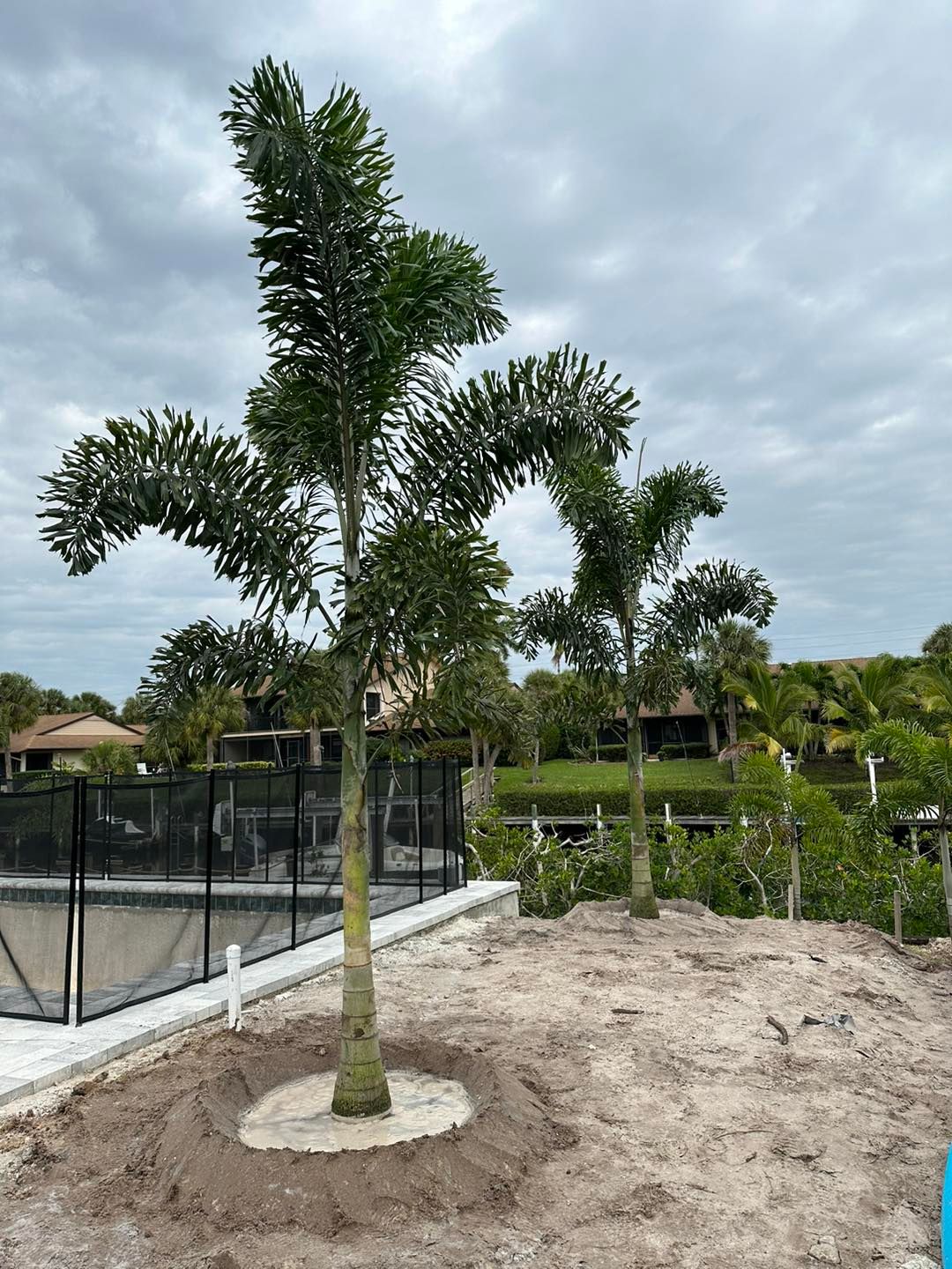  for Plant World LLC in Cape Coral, FL