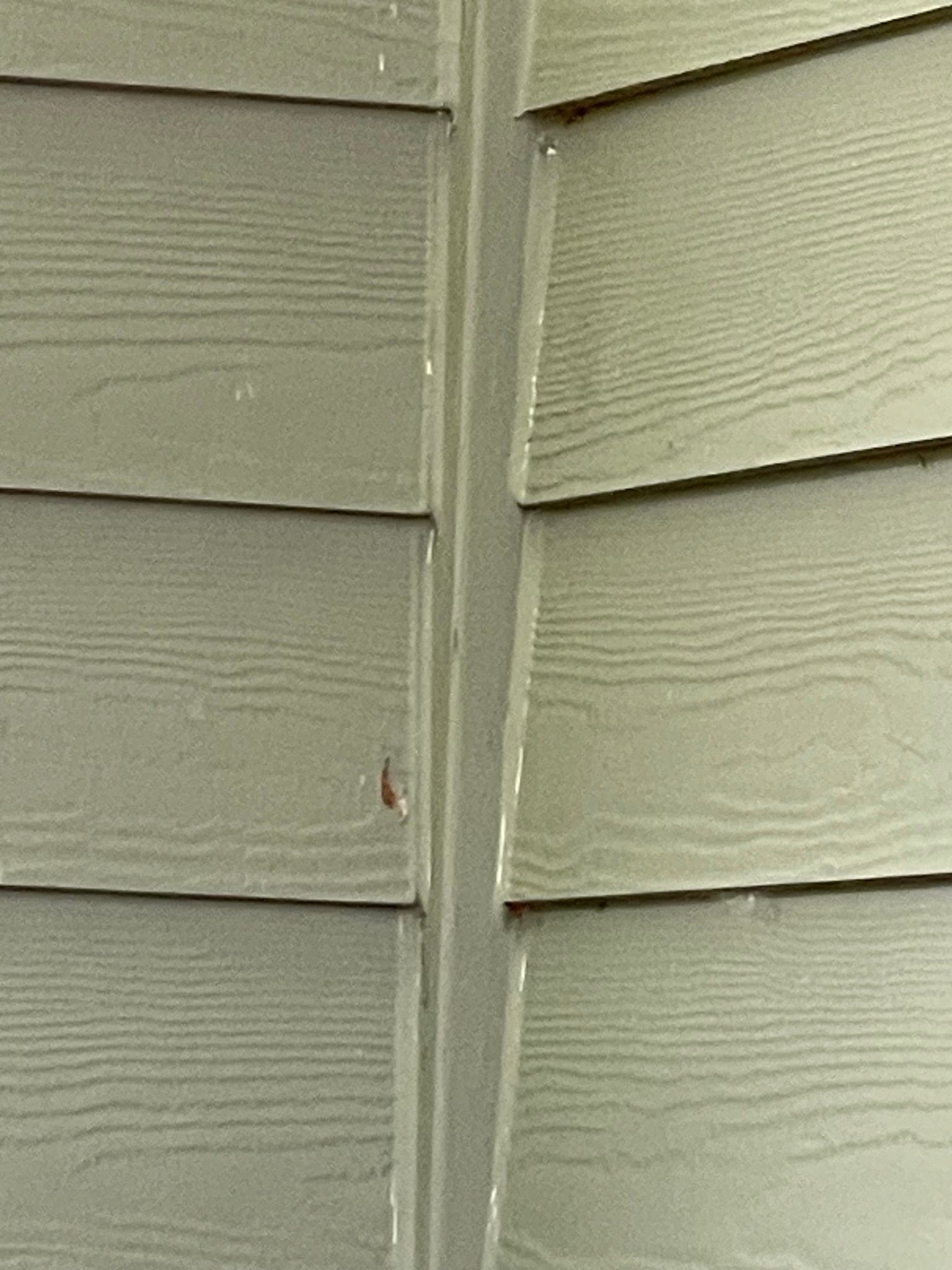  for Tony's Remodeling & Painting in Renton, WA