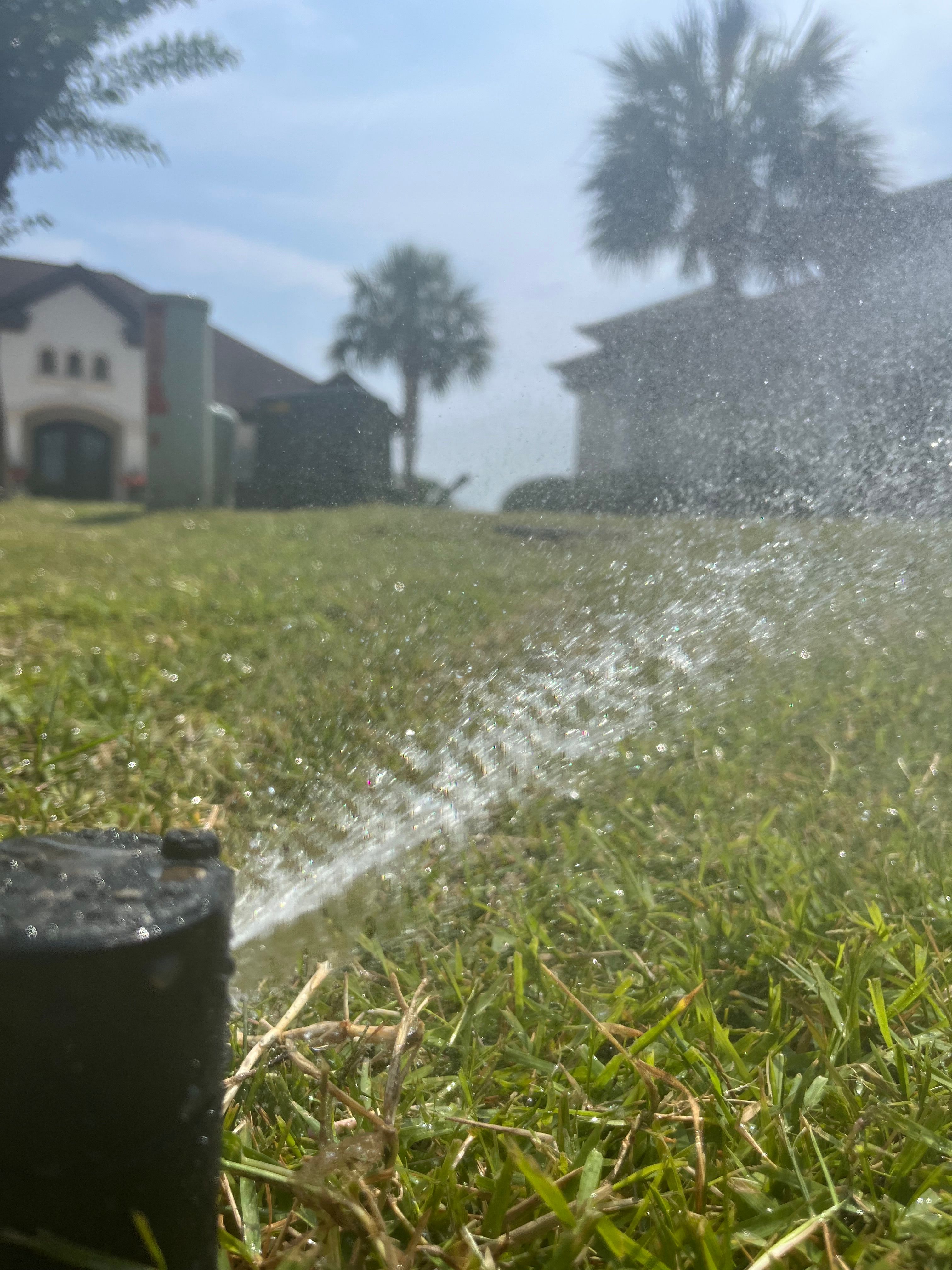  for New Creation Lawn and Landscape in Myrtle Beach, SC