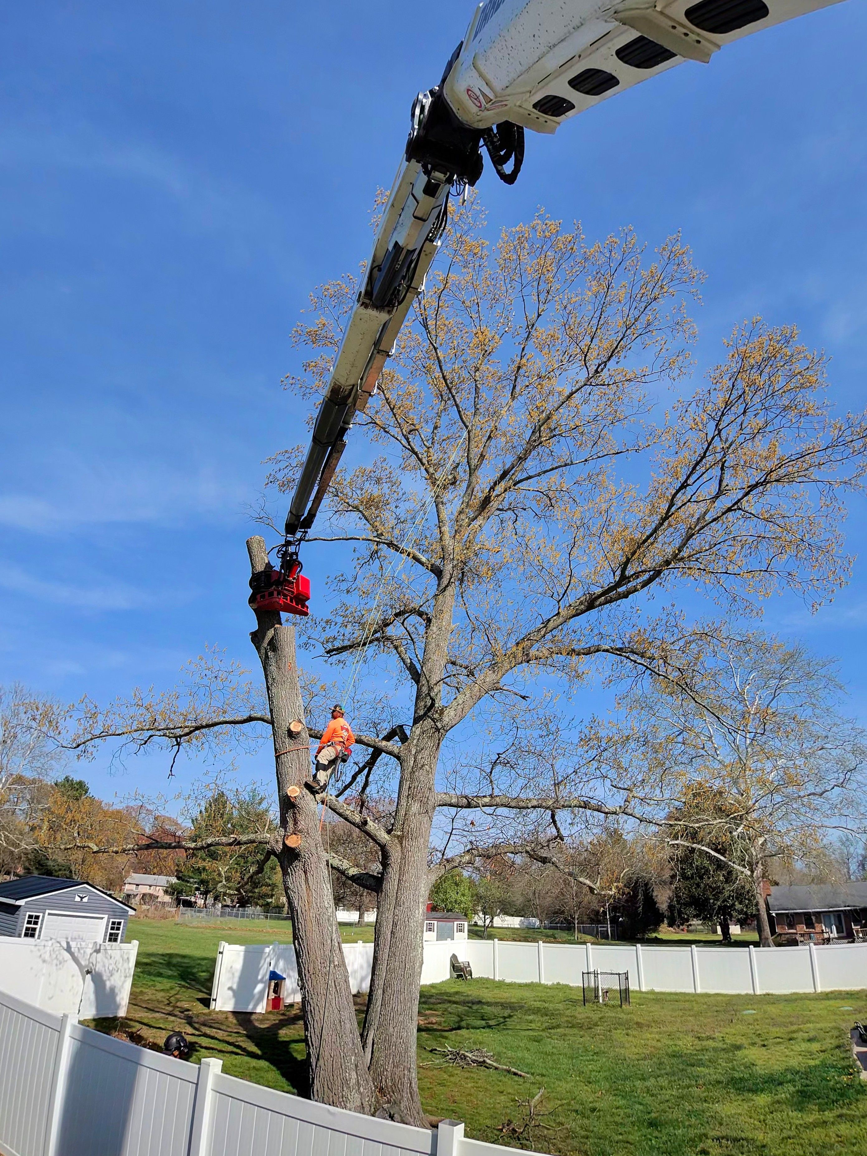  for Darbie's Tree Service in Newburg,  MD