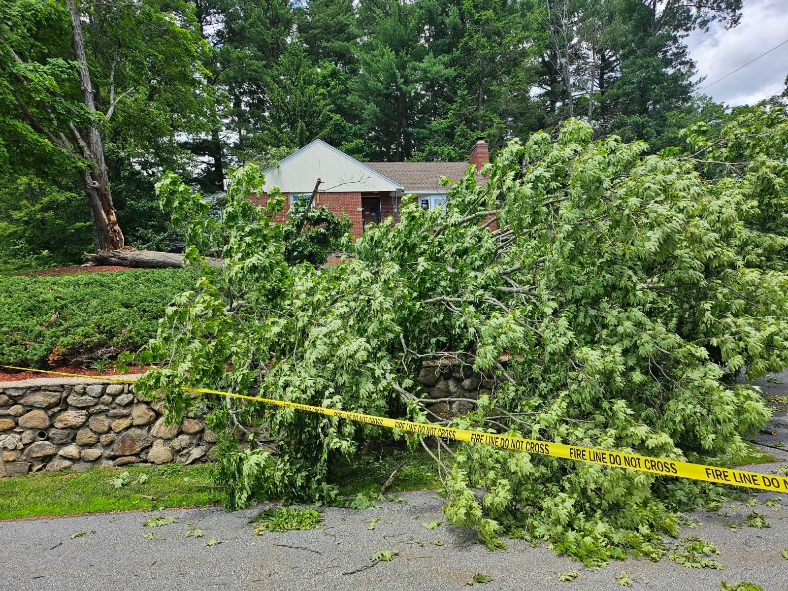 Hedge/Tree/Brush Cutting for Landscape Innovations LLC in Torrington, CT