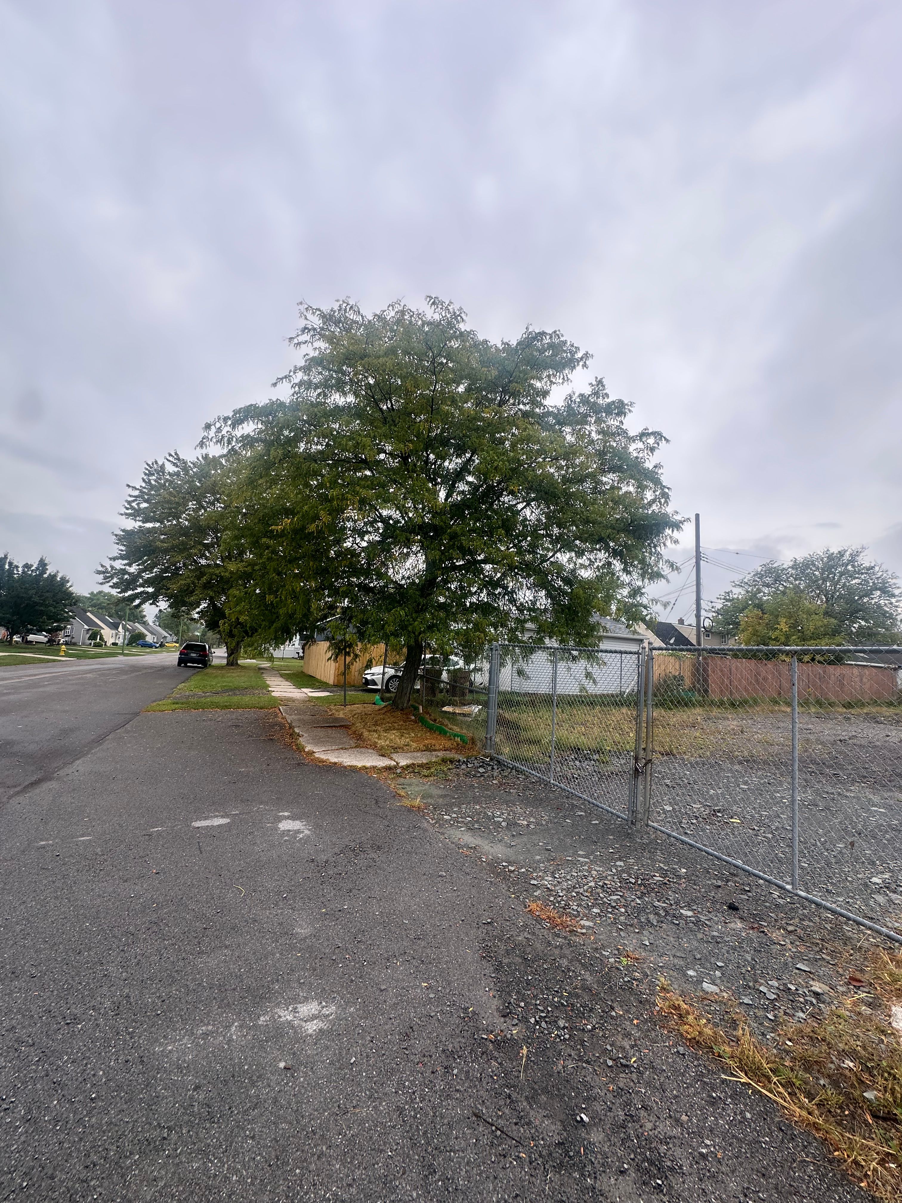  for Hauser's Complete Care INC in Lancaster, NY