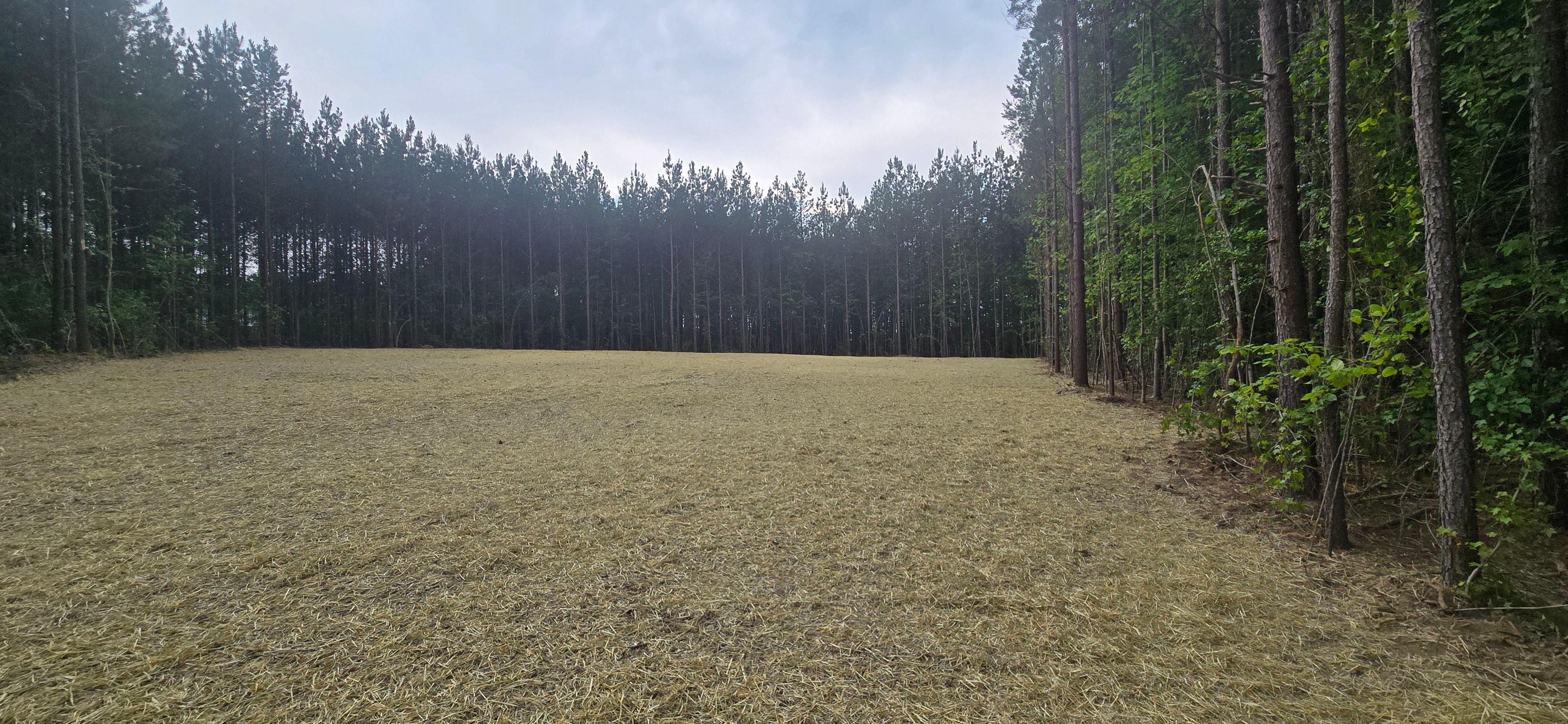 All Photos for C.A. Sherry Land Improvement, LLC. in Louisa, VA