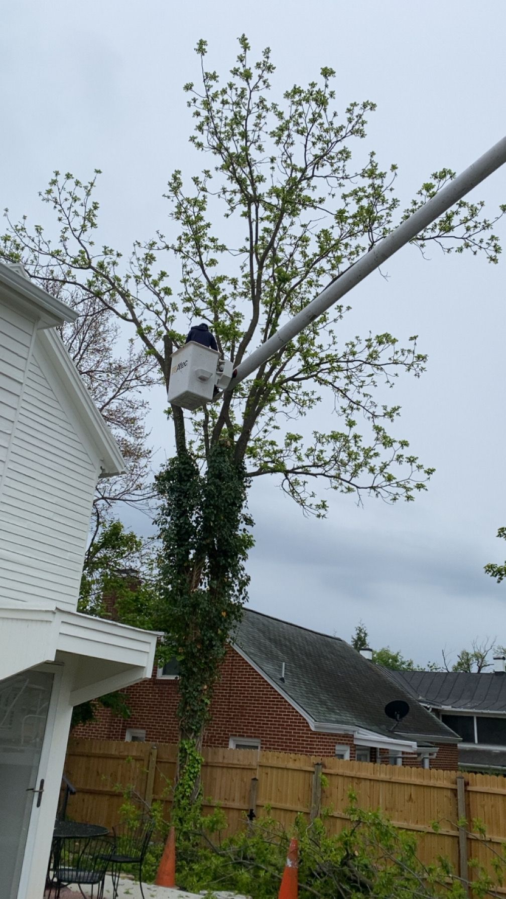 All Photos for Gray's Tree Service  in Shenandoah County, VA