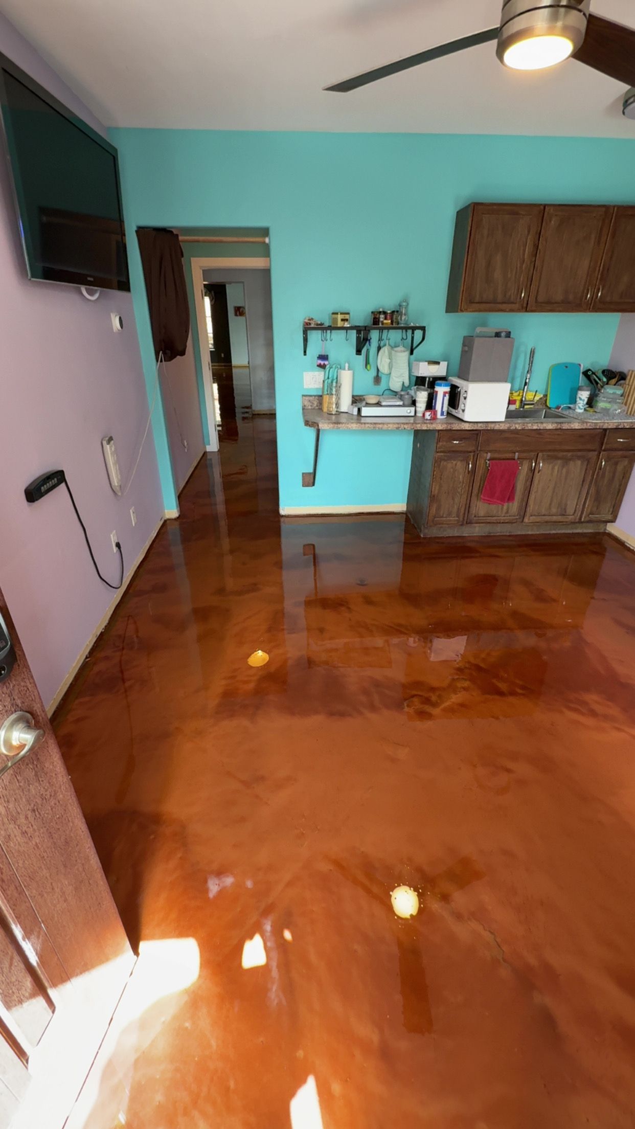  for Sandoval Coating in Phoenix, AZ