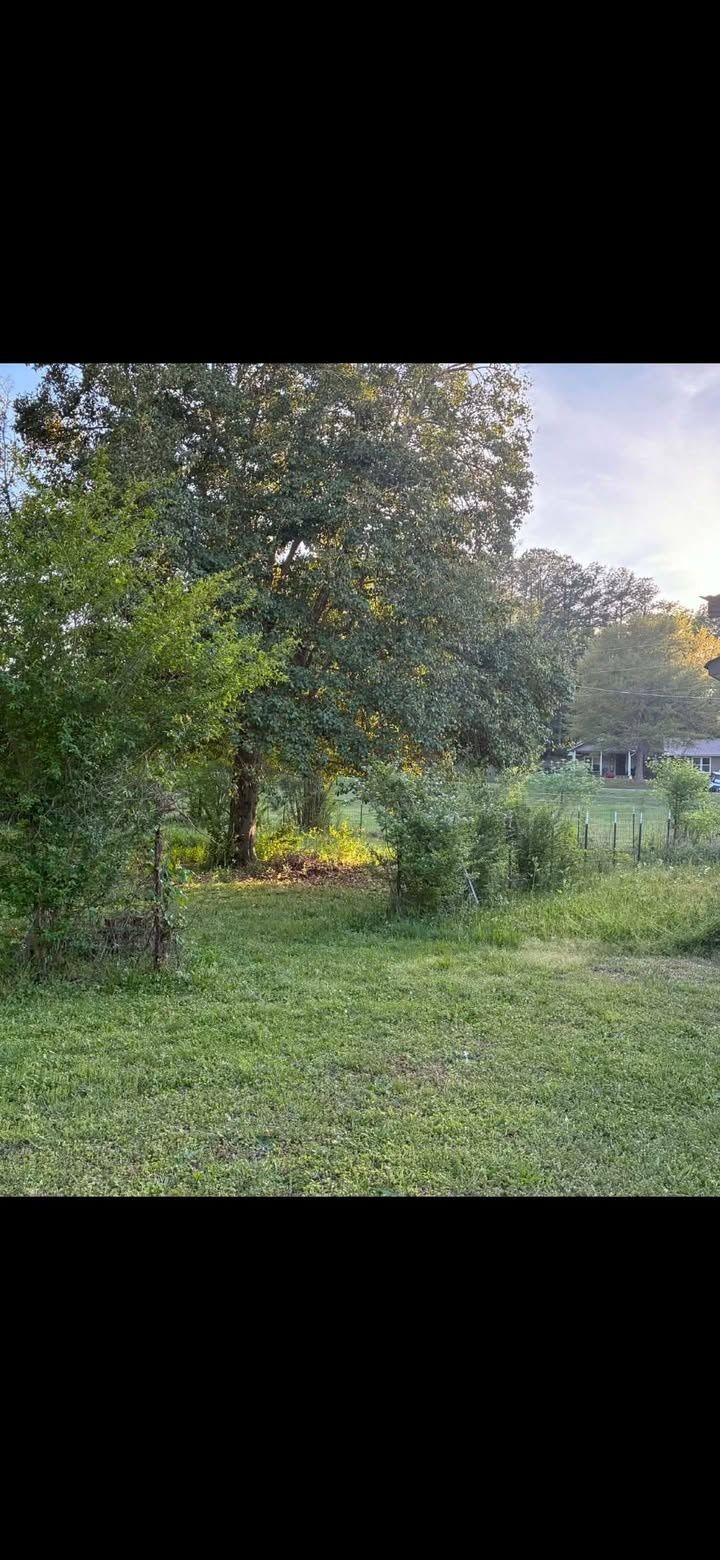 for Big C Land Management in Anniston, AL