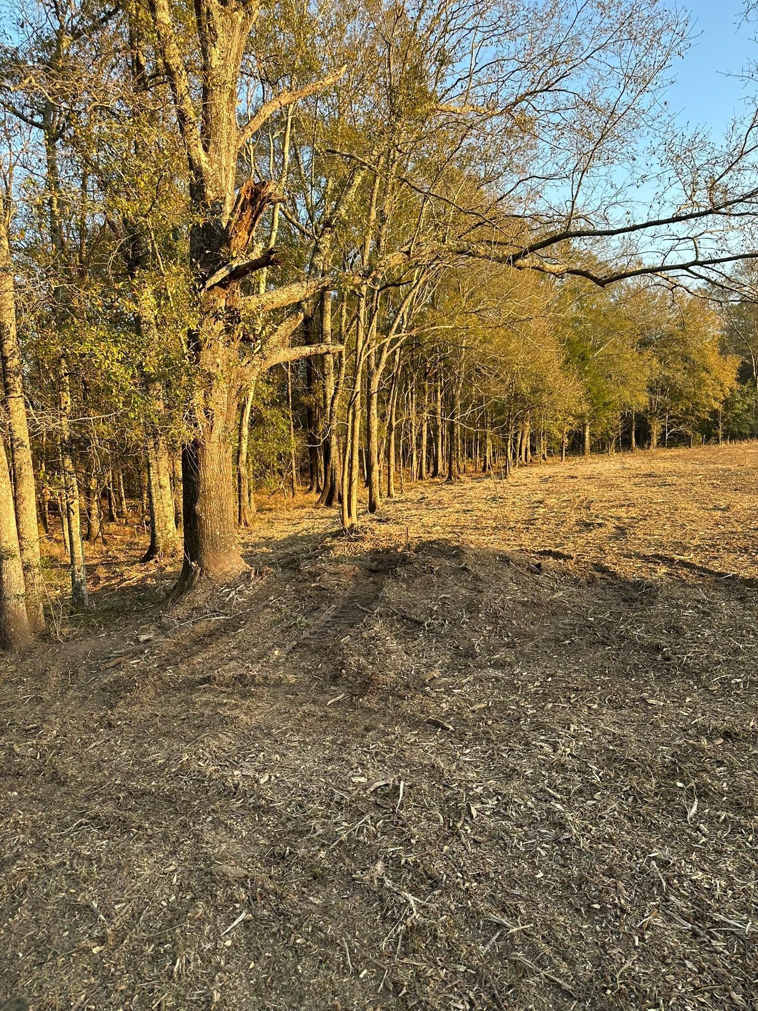  for White’s Land Maintenance in Milton,, FL