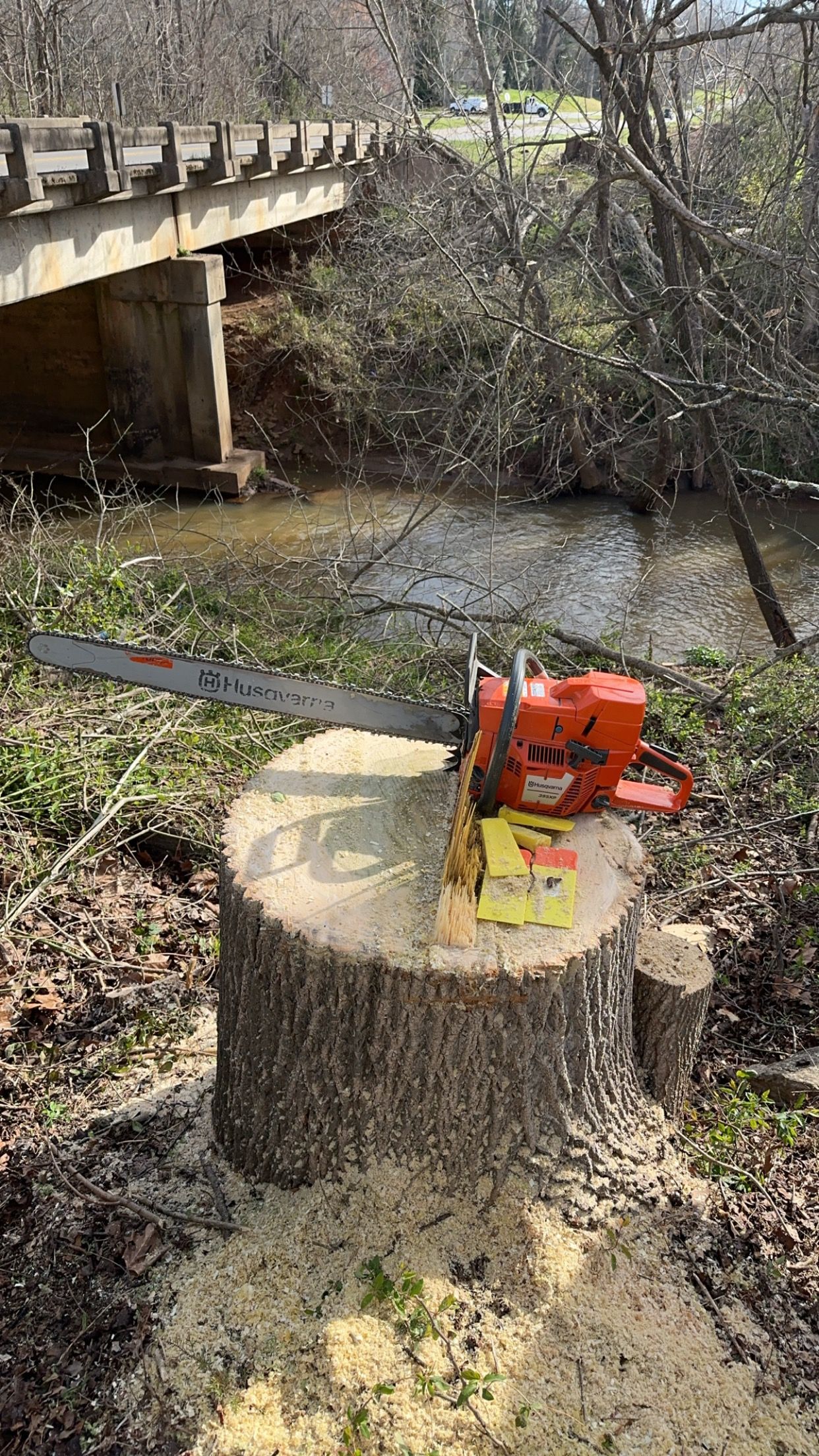 All Photos for Ramirez Tree Care in Elkin, NC