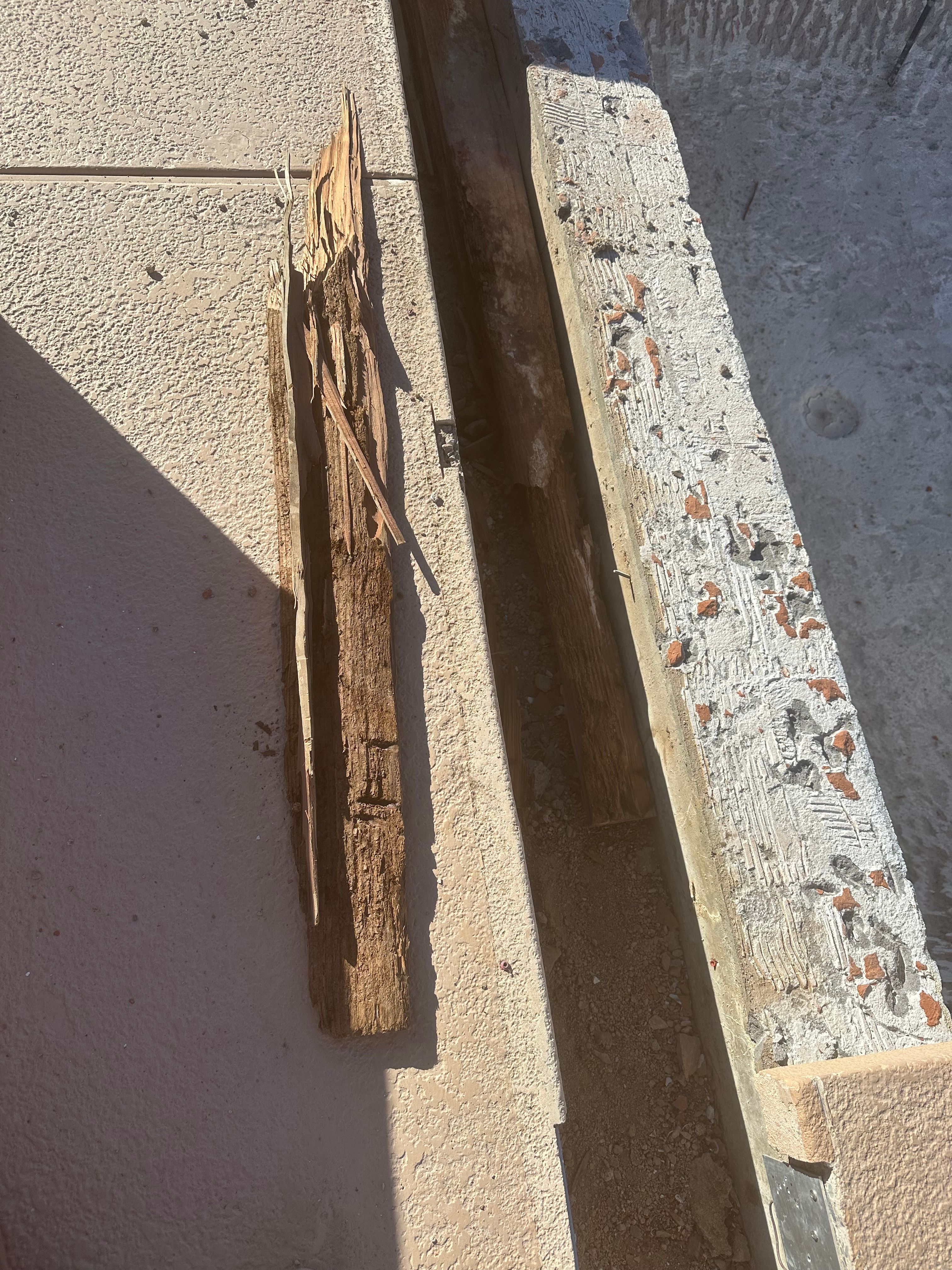  for Arizona Backyard Synergy in Phoenix, AZ