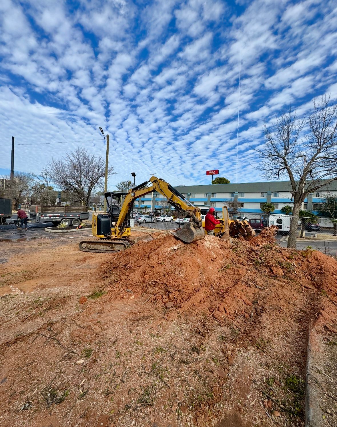  for Clear Tree Land Solutions in Dawson County, GA