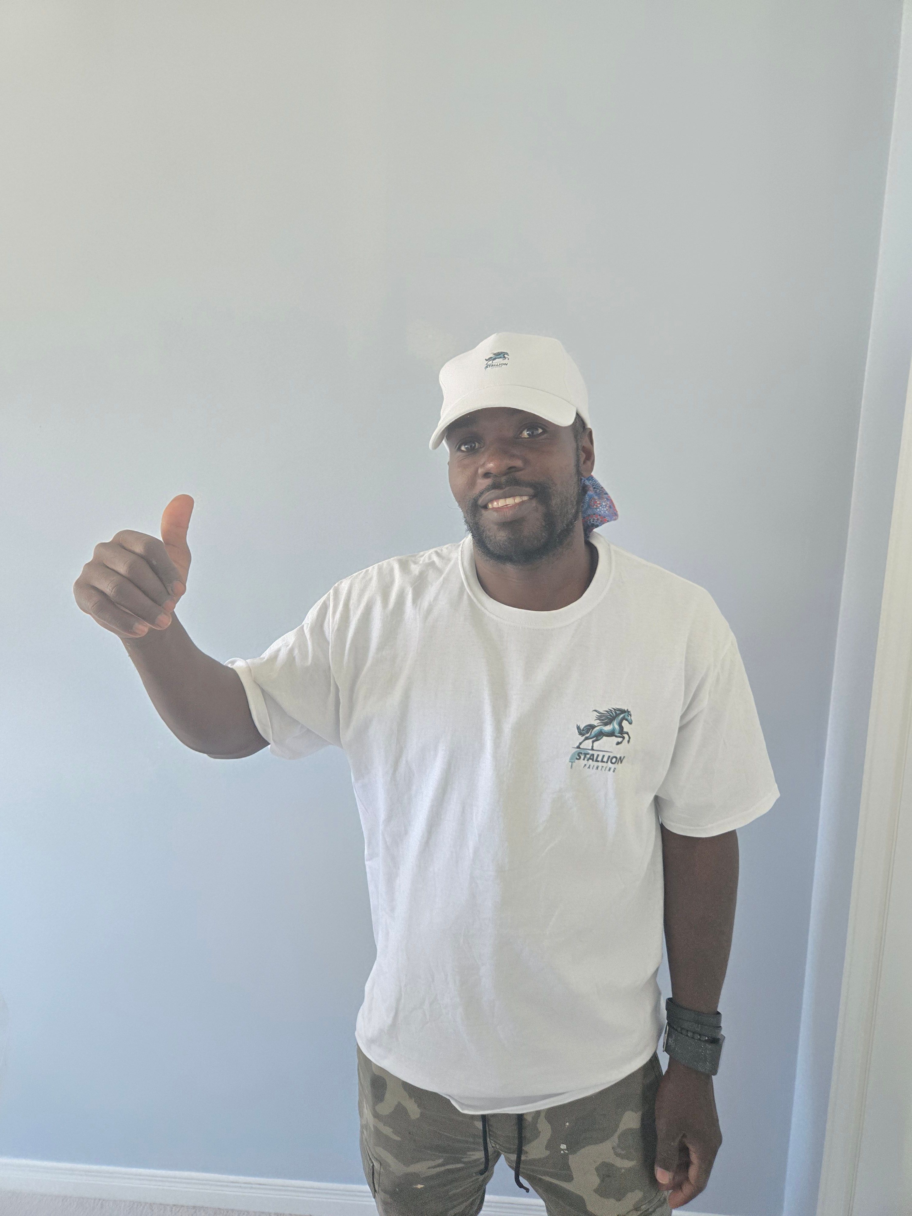 for Stallion Painting in Hamilton, Ontario