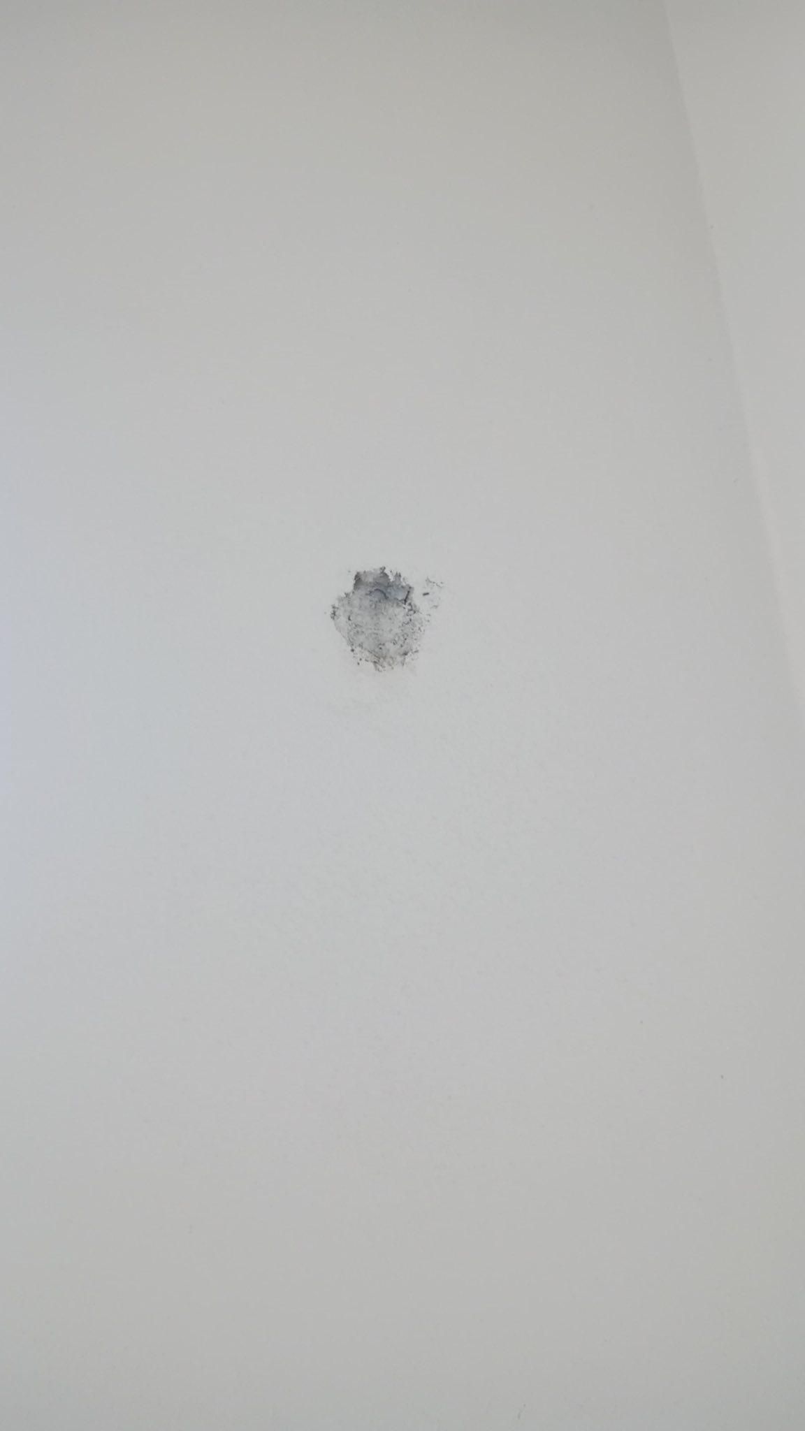  for Escorpio Painting in Tampa, FL