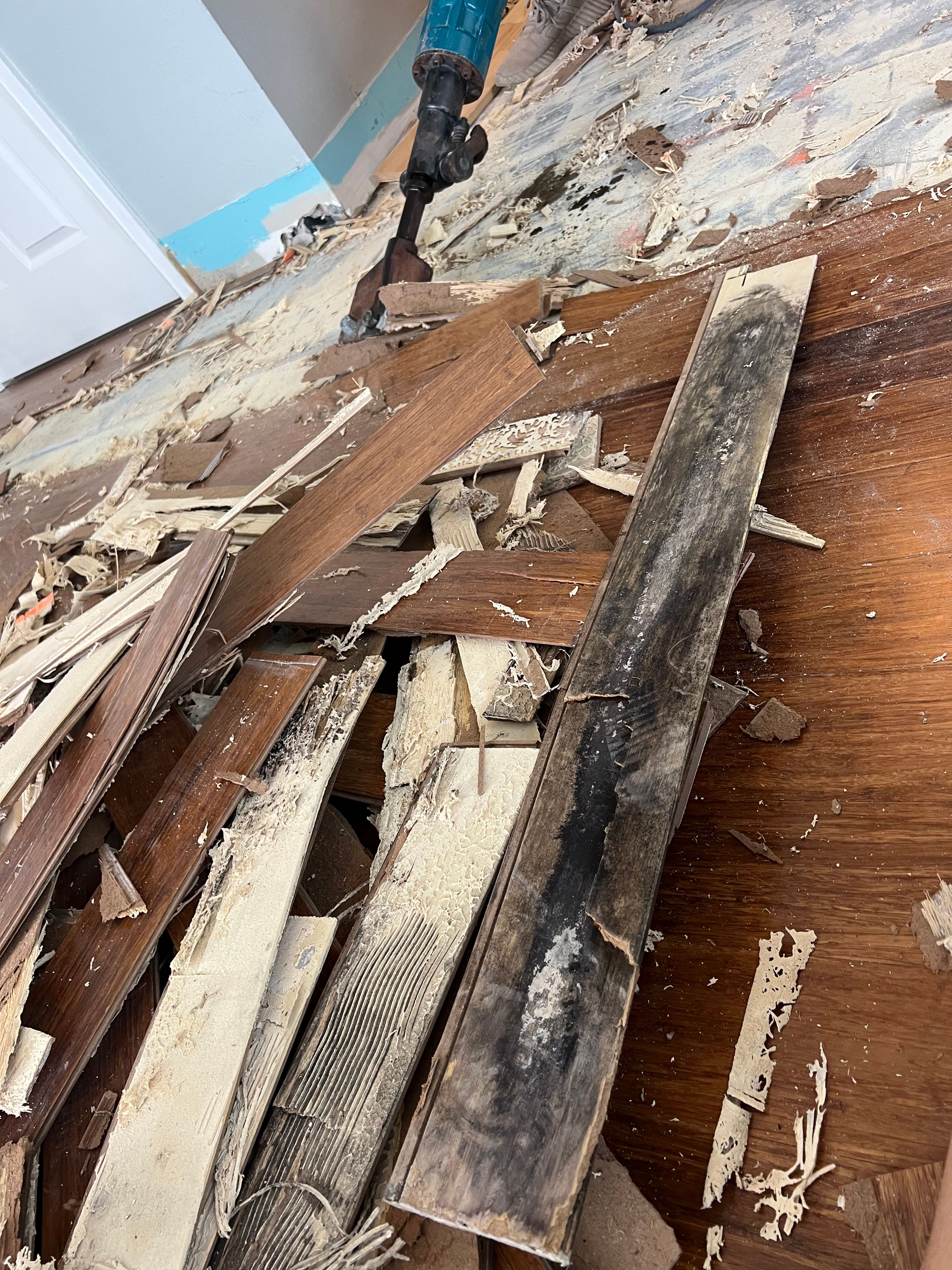  for N&D Restoration Services When Disaster Strikes, We Come In in Cape Coral,  FL