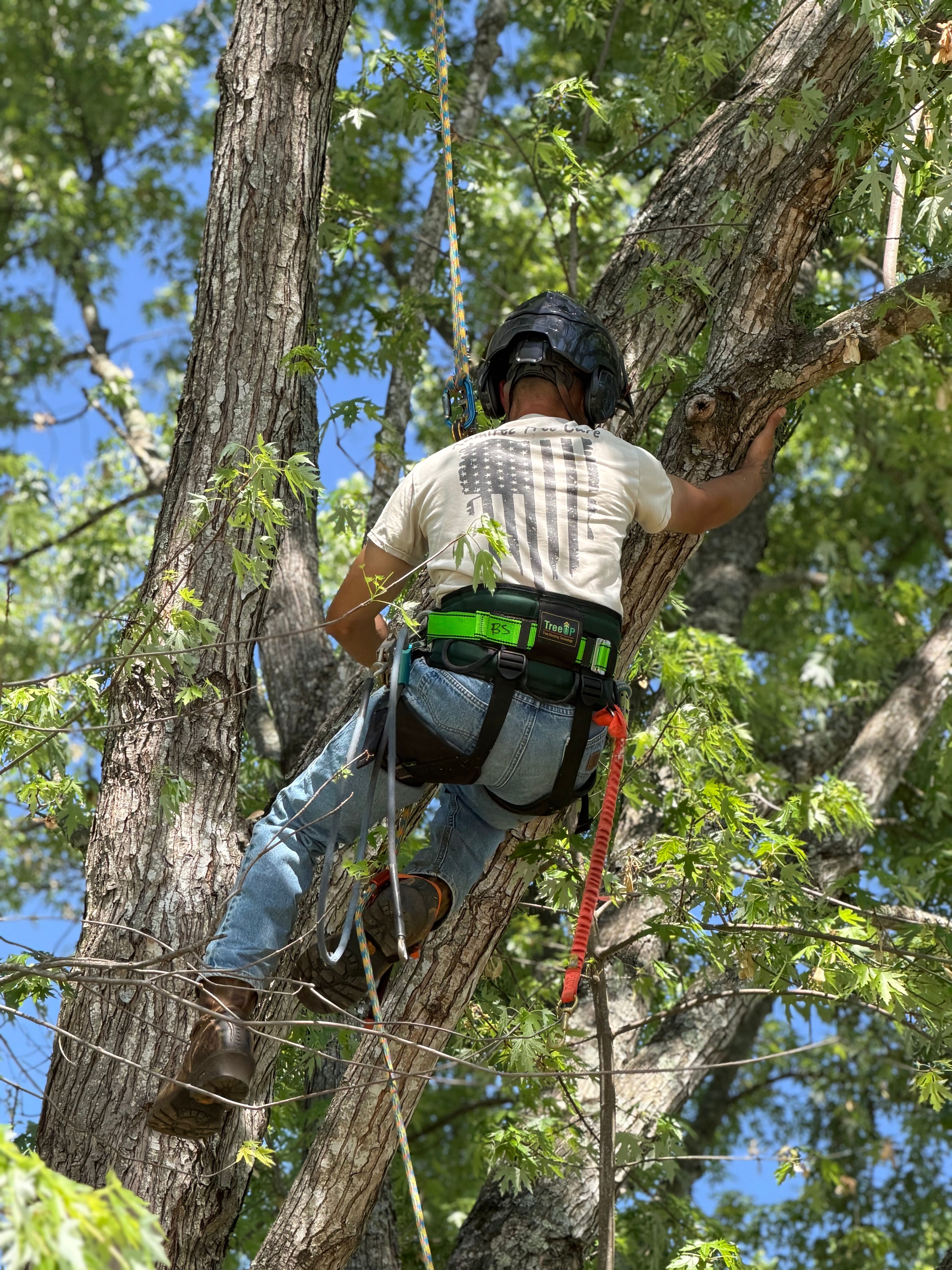 for Ramirez Tree Care in Elkin, NC