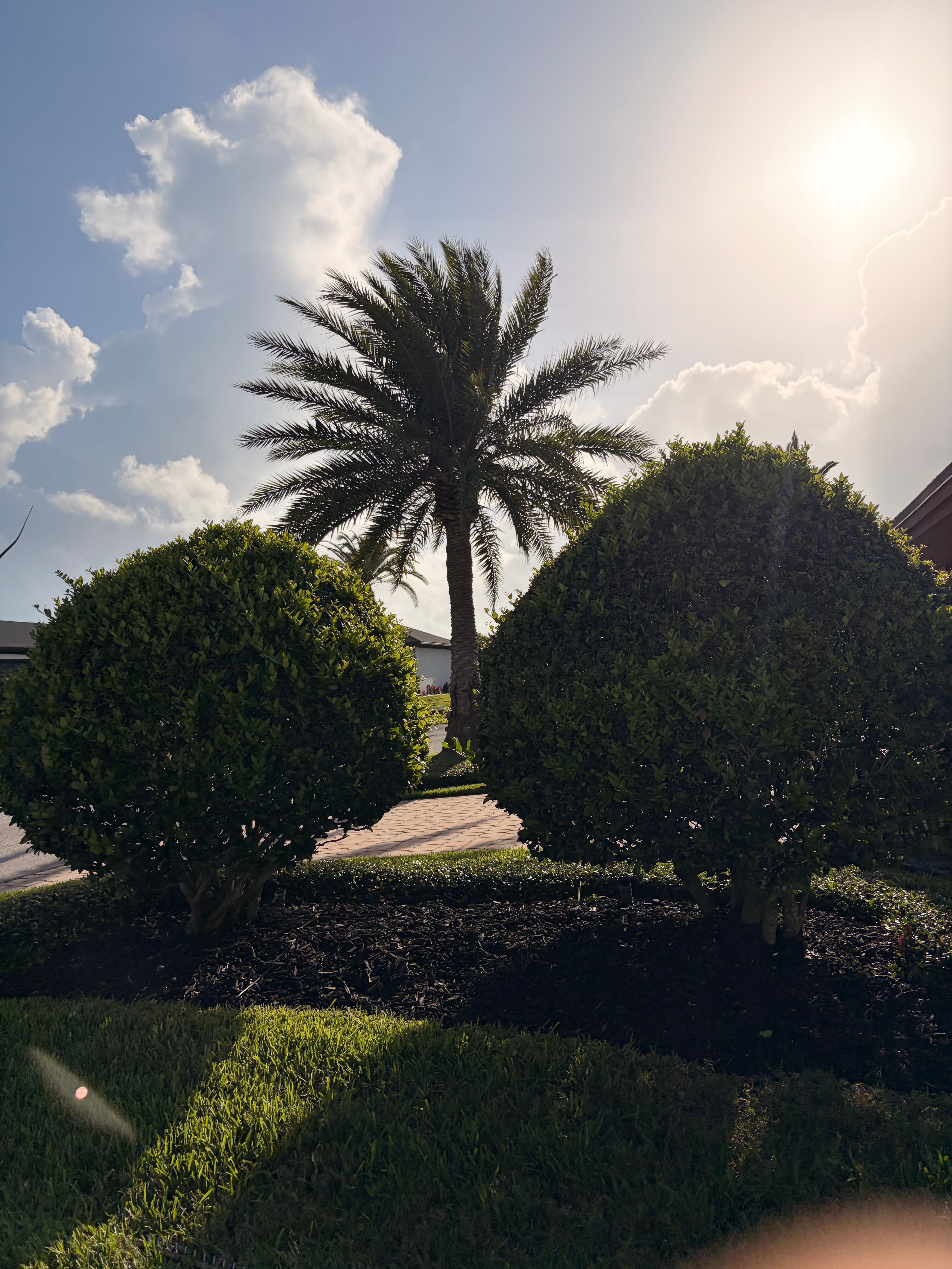  for Vanic's Landscaping in Port Orange, FL