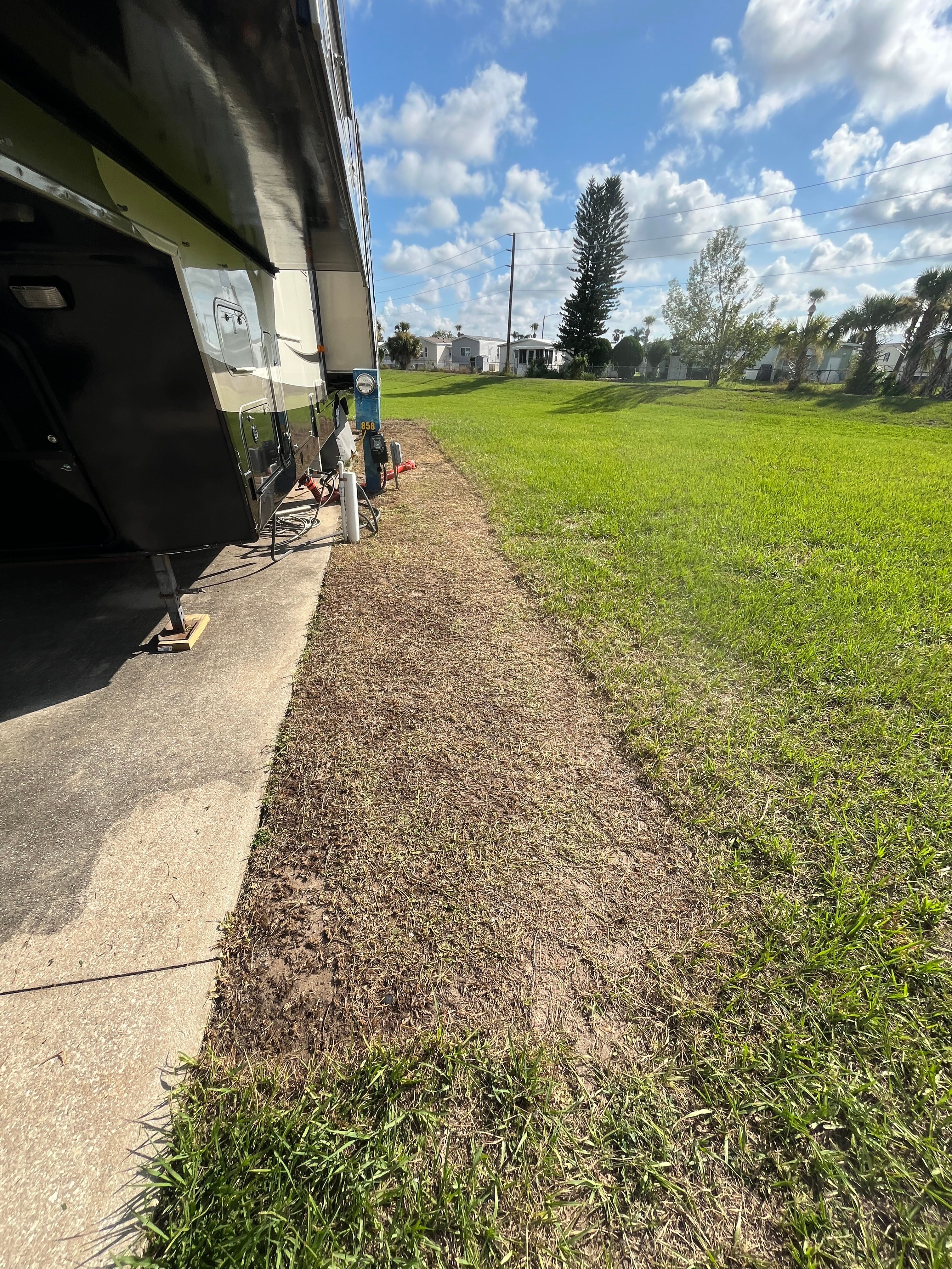 Tree Services for Ludlows Services in Clermont, FL
