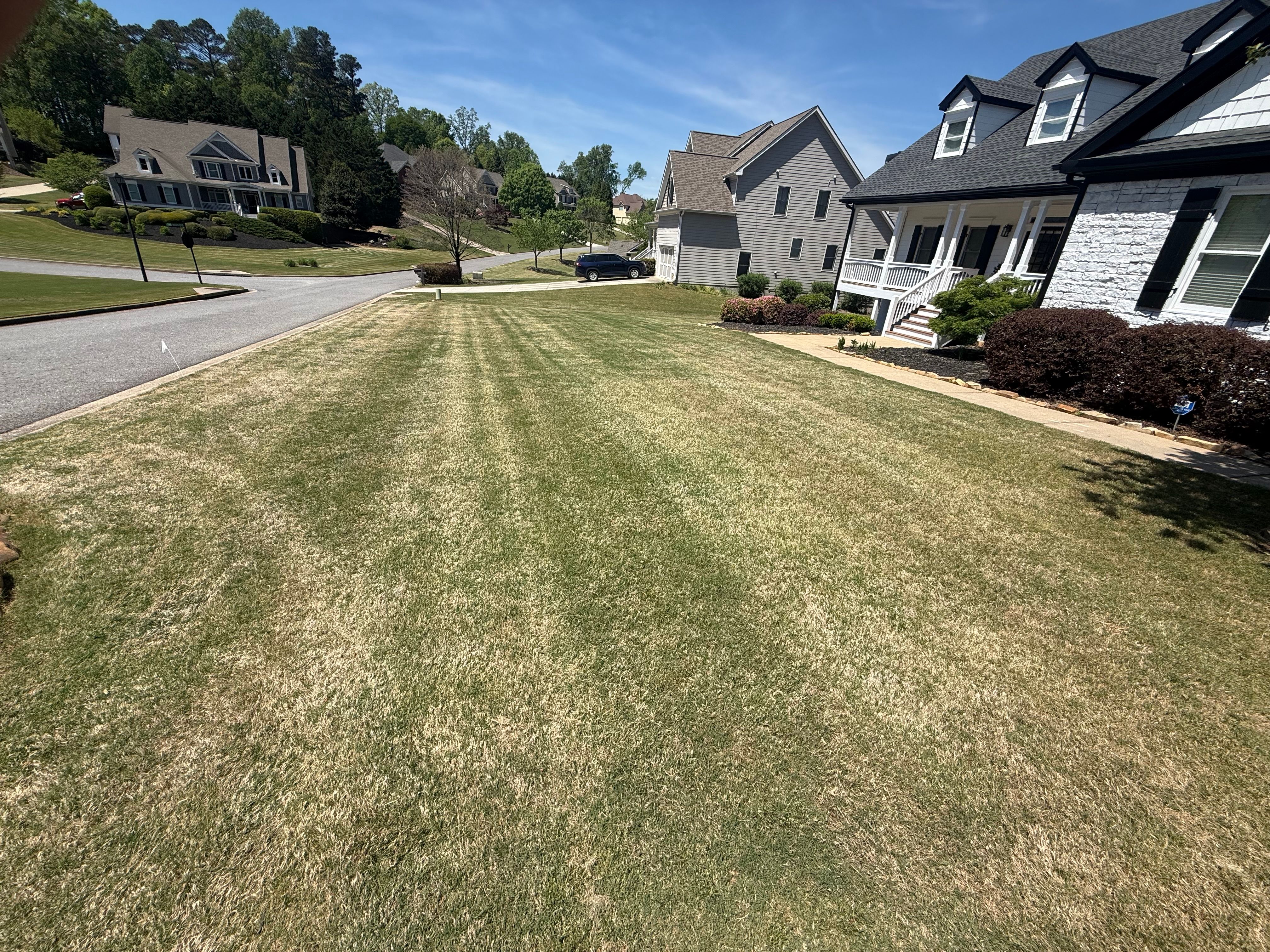 All Photos for Amerigreen Lawn & Landscape in Duluth, GA