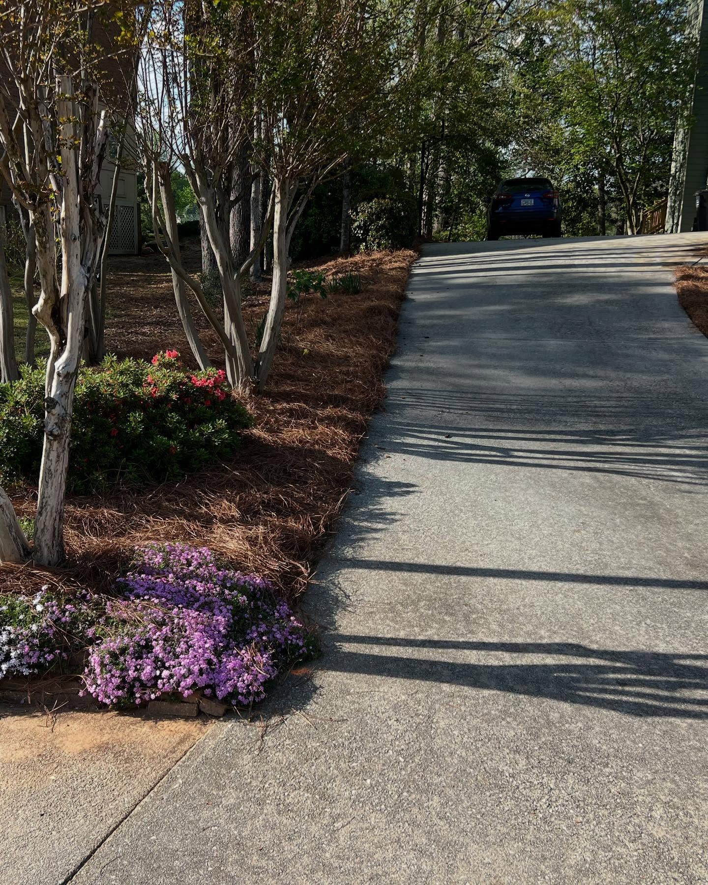 All Photos for Amerigreen Lawn & Landscape in Atlanta, GA