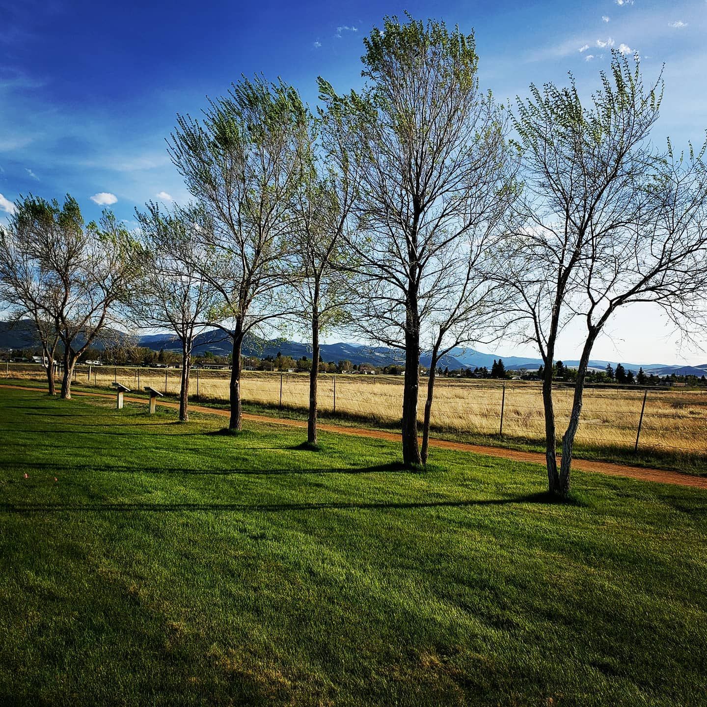  for Eagle Bay Lawn & Landscape LLC in Helena, MT