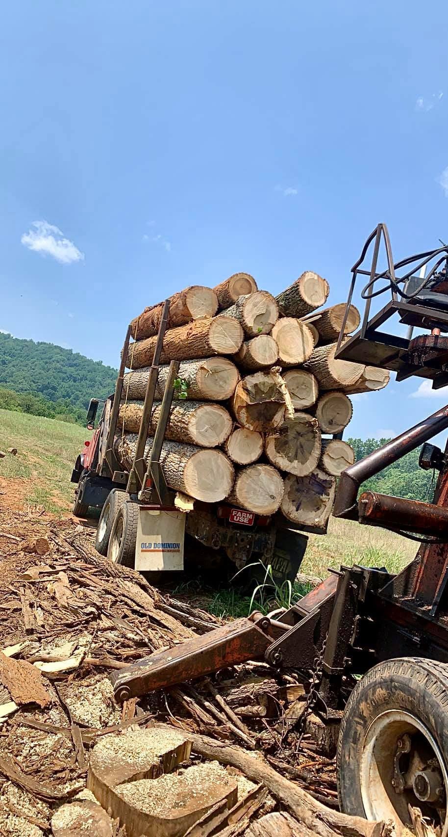  for Williamson Logging in Hardy, VA