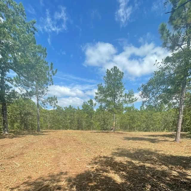  for JA Clearing LLC in Pageland, SC