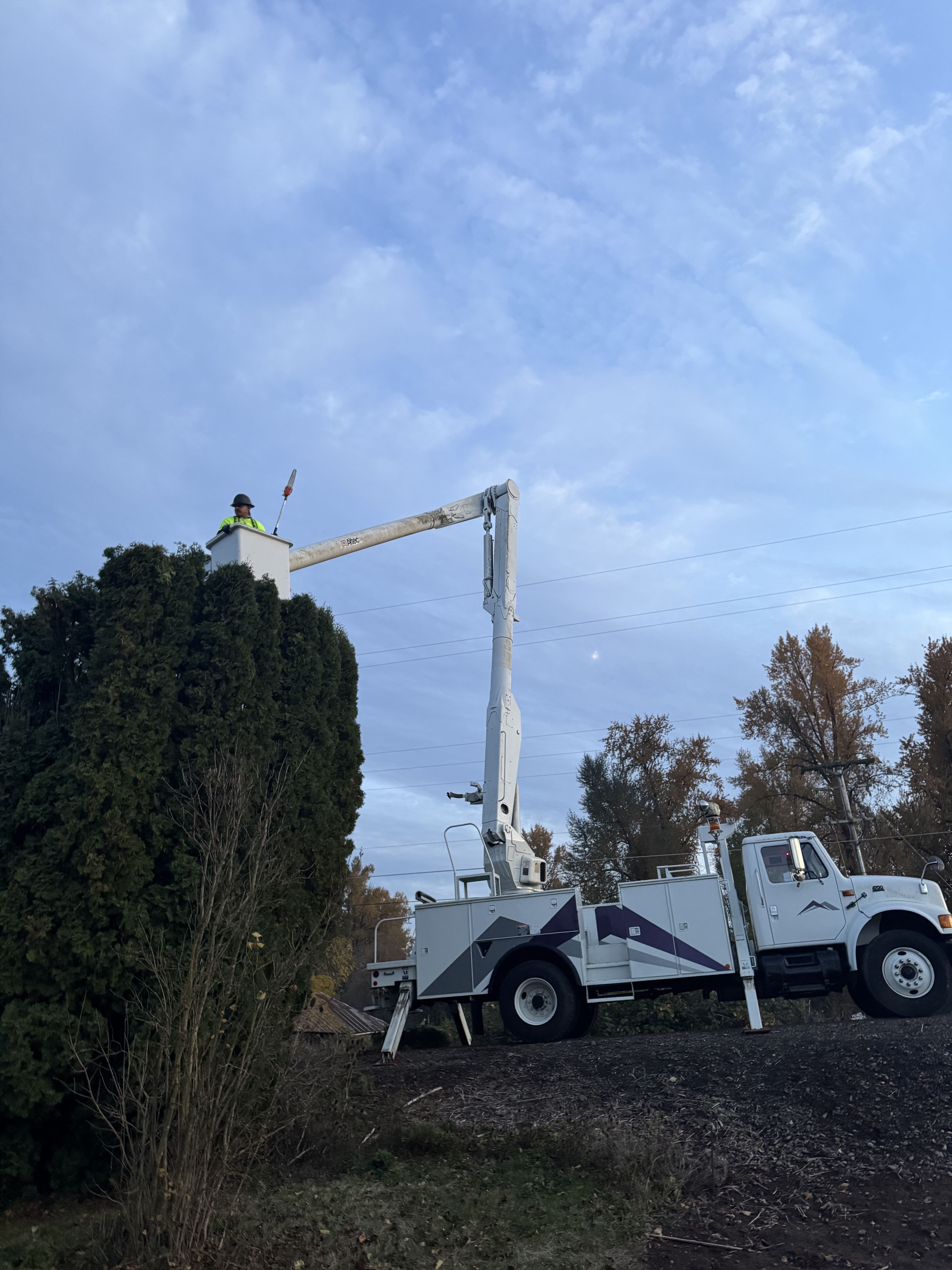  for Willamette Landscaping and Tree Services in Albany, OR