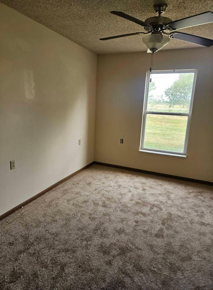  for Loving 217 Homes in Chatham, IL